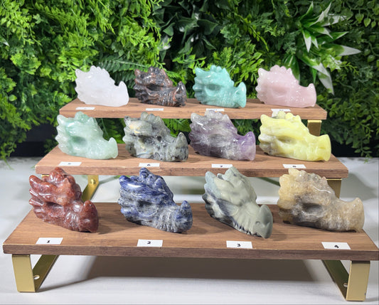 A set of 12 carved crystal dragon figurines in various colors, arranged on a three-tier wooden display stand with small white labels in front of each. The background is a green leafy wall.