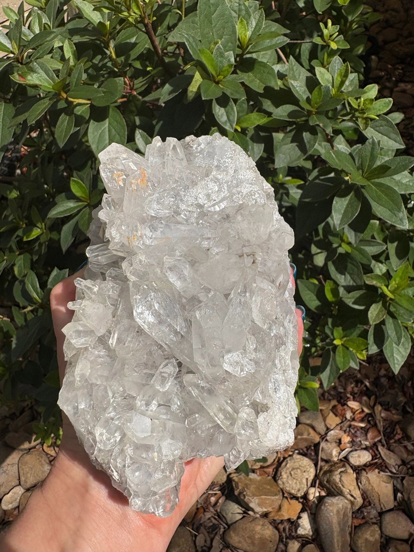 Clear Quartz Crystal Cluster — Amplification, Clarity & Prism Glow Raw, One-of-a-Kind | Over 4 lb | Rainbow Flashes
