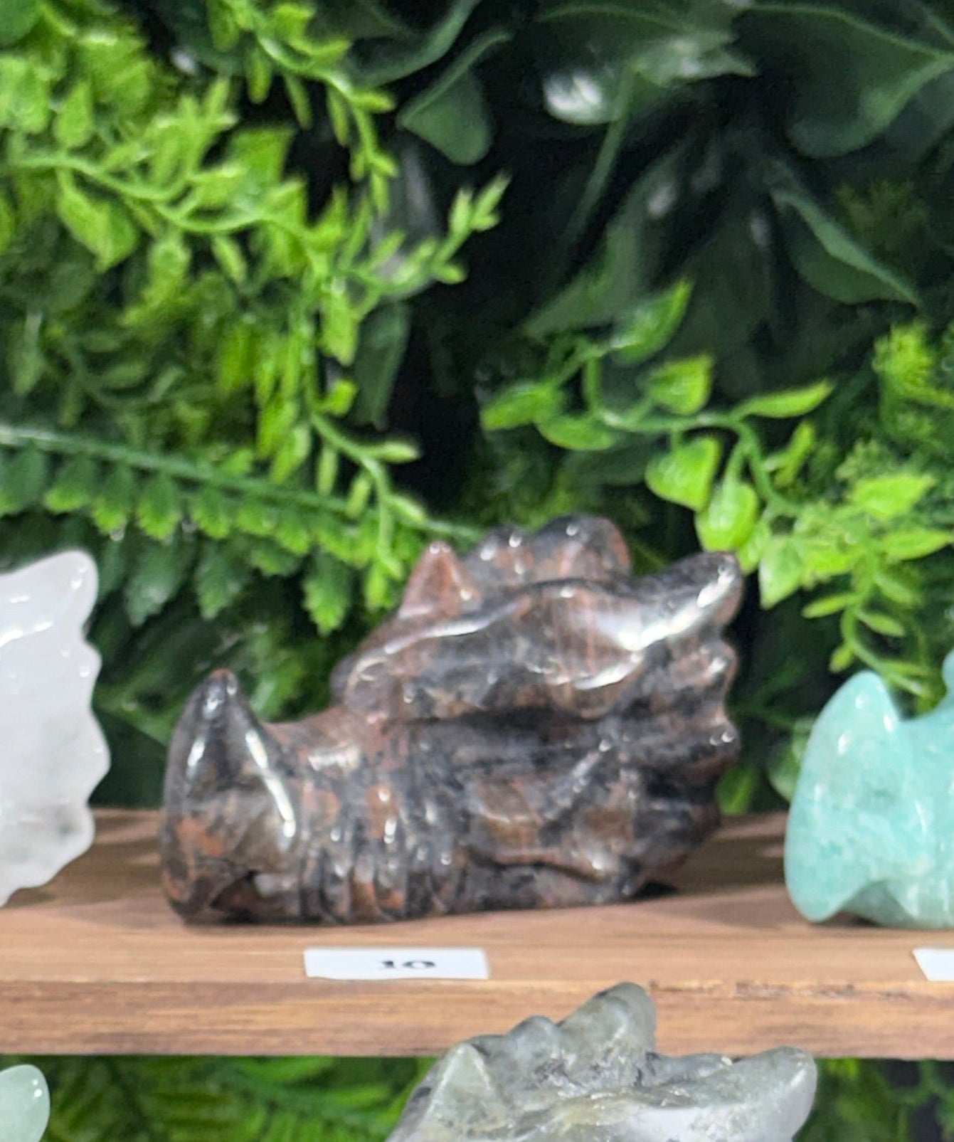 A display of various polished crystal and stone carvings shaped like dragon heads sitting on a wooden shelf next to green foliage. The stones include blue, purple, green, brown, and white varieties.