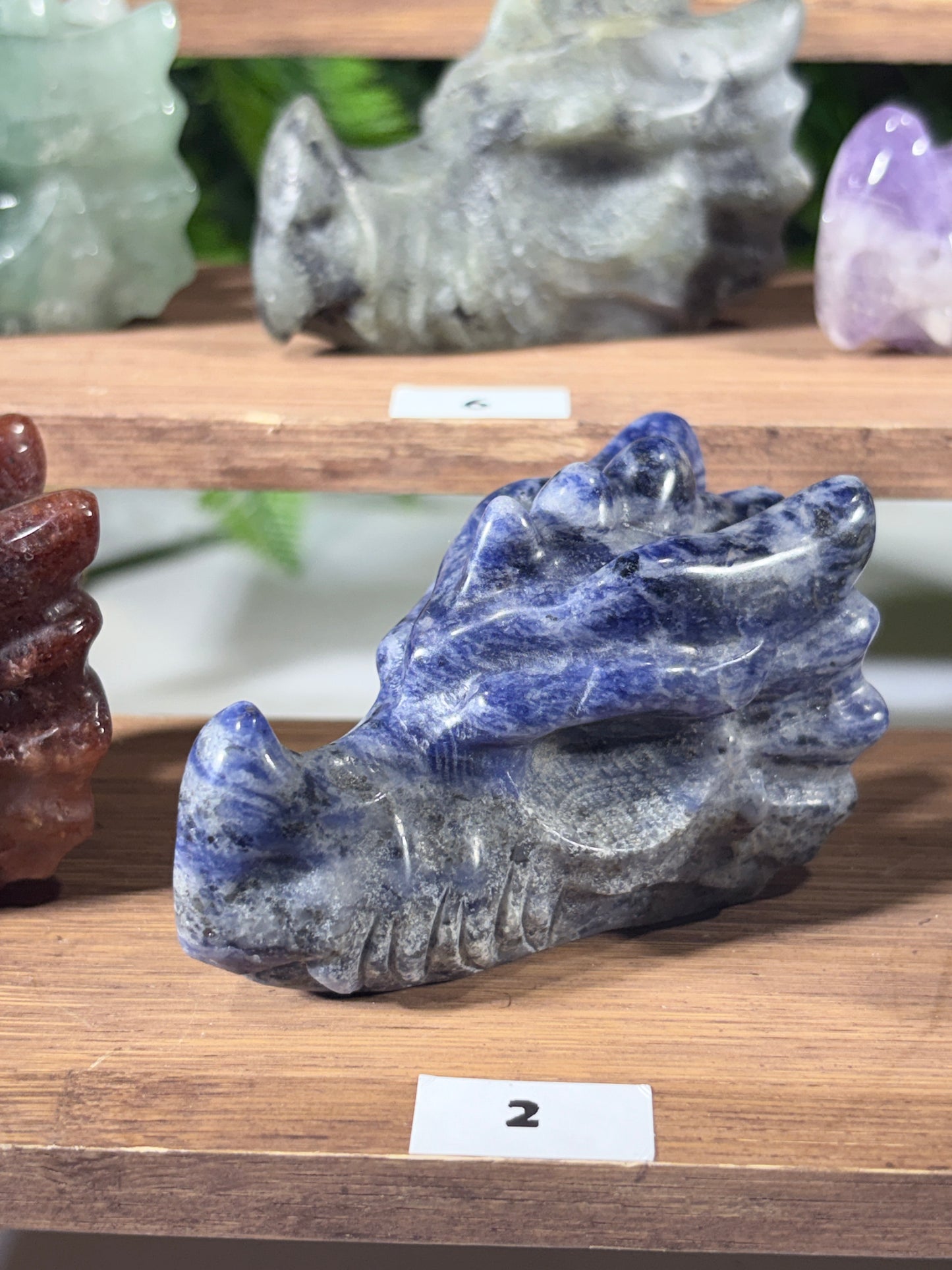 Crystal Dragon Guardian – Choose Your Dragon  Ancient Wisdom • Fierce Protection • Legendary Adventure
