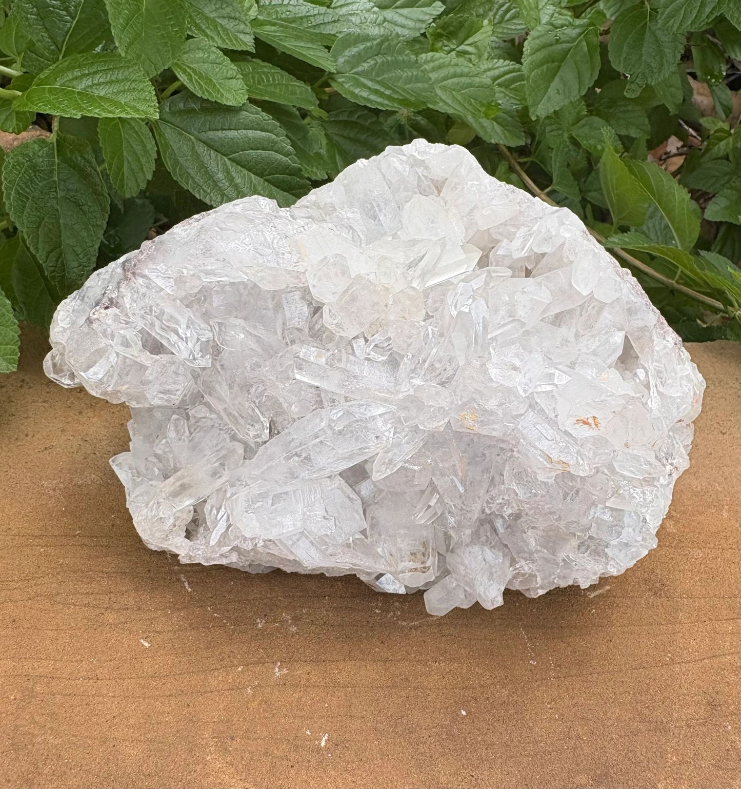 Clear Quartz Crystal Cluster — Amplification, Clarity & Prism Glow Raw, One-of-a-Kind | Over 4 lb | Rainbow Flashes
