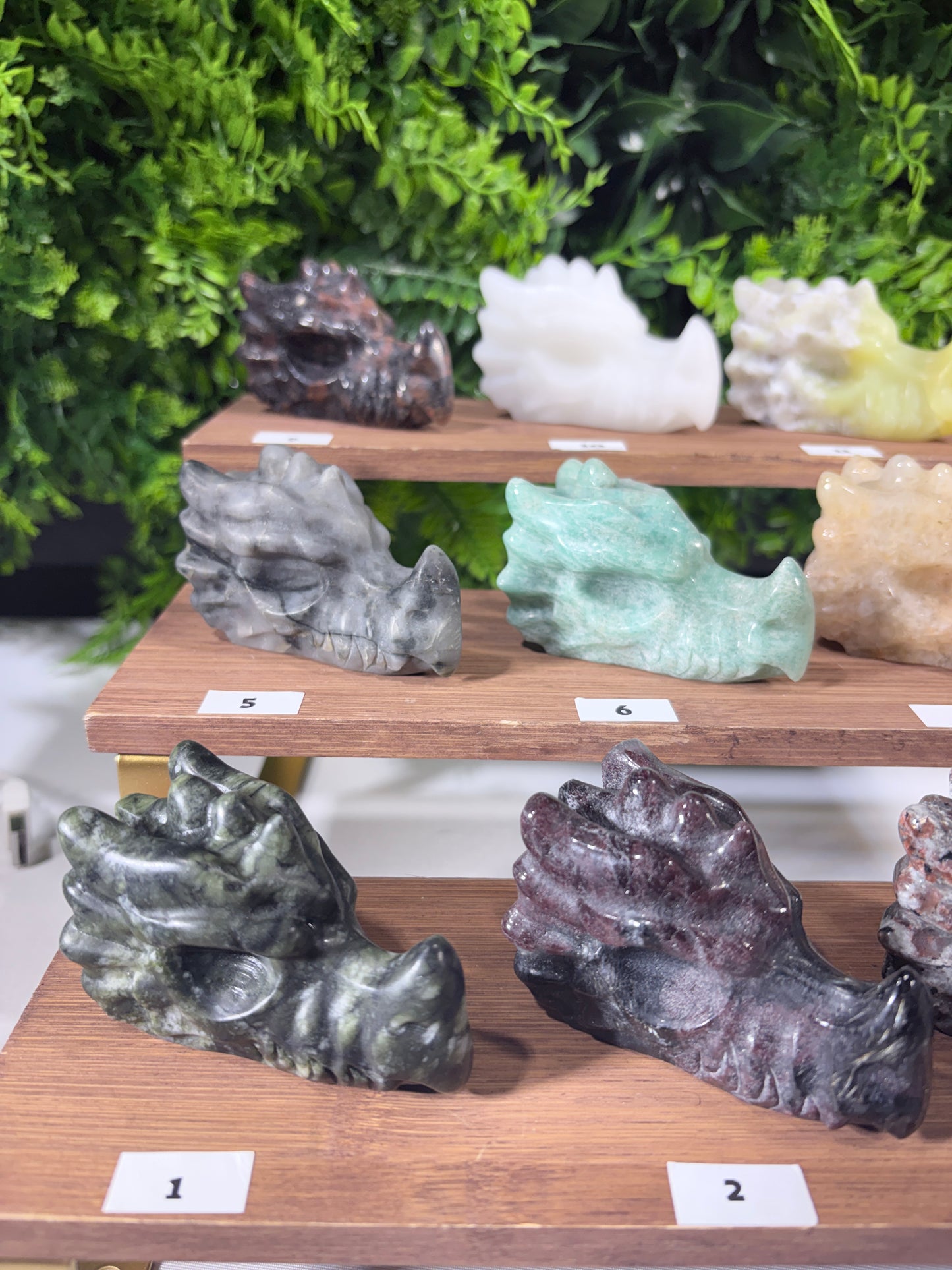 Crystal Dragon Guardians – Choose Your Dragon | Courage • Adventure • Legendary Vibes