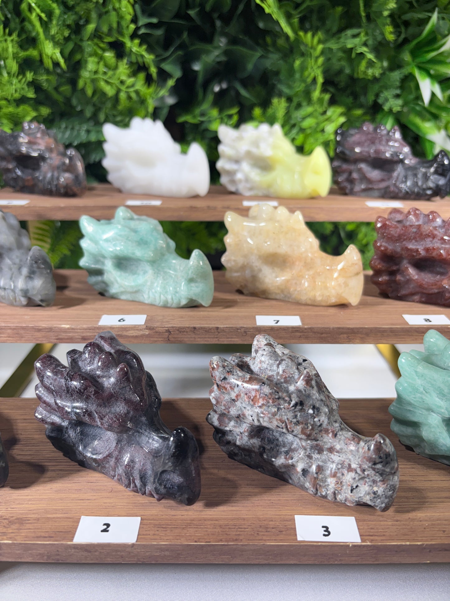 Crystal Dragon Guardians – Choose Your Dragon | Courage • Adventure • Legendary Vibes