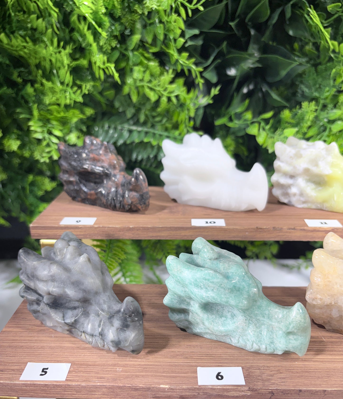 A display of carved stone dragon heads sitting on wooden stands, with green foliage in the background. The figurines include dark gray, reddish-brown, pale yellow, and mint green stones, each with a small white numbered label.