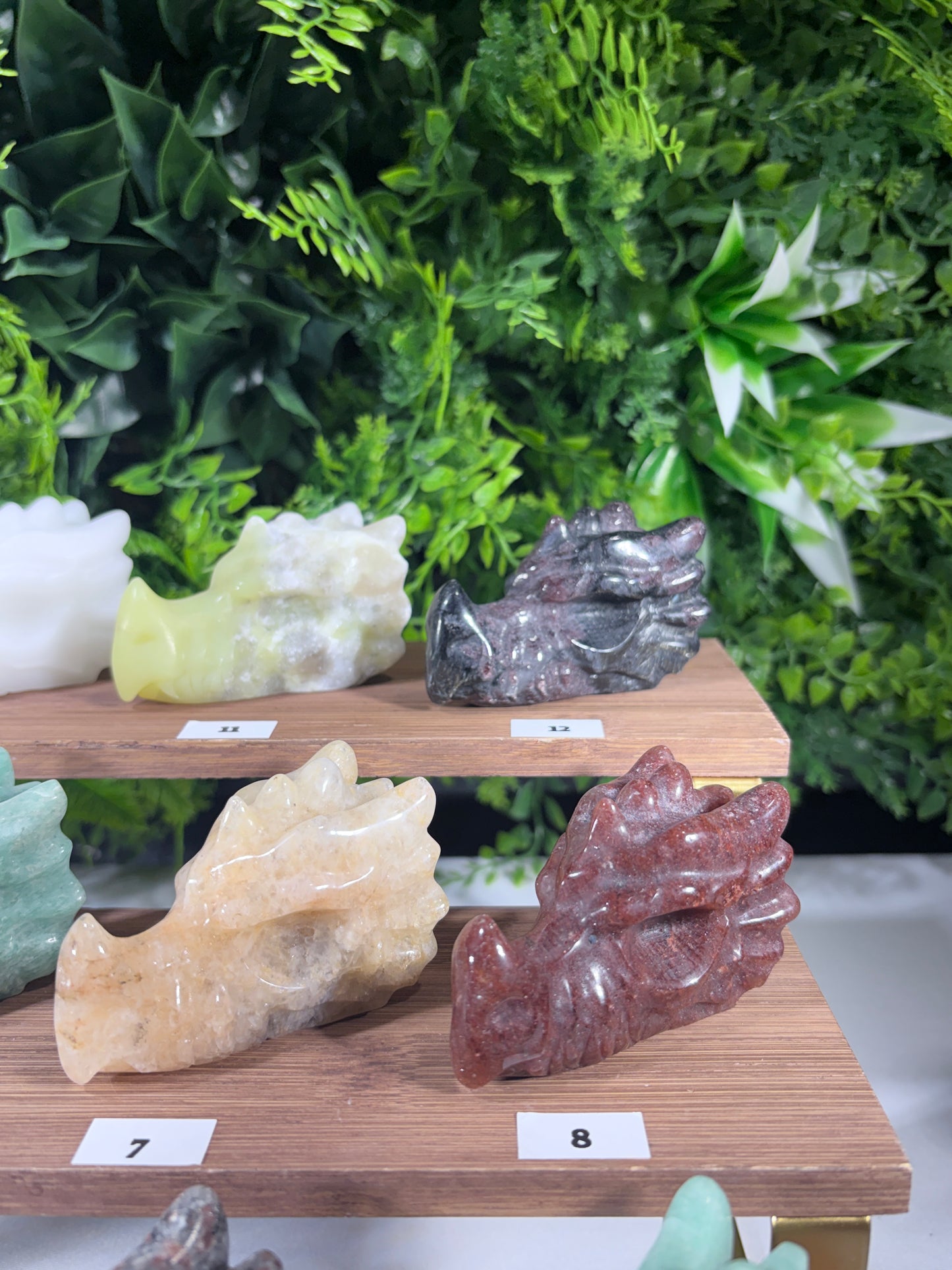Crystal Dragon Guardians – Choose Your Dragon | Courage • Adventure • Legendary Vibes