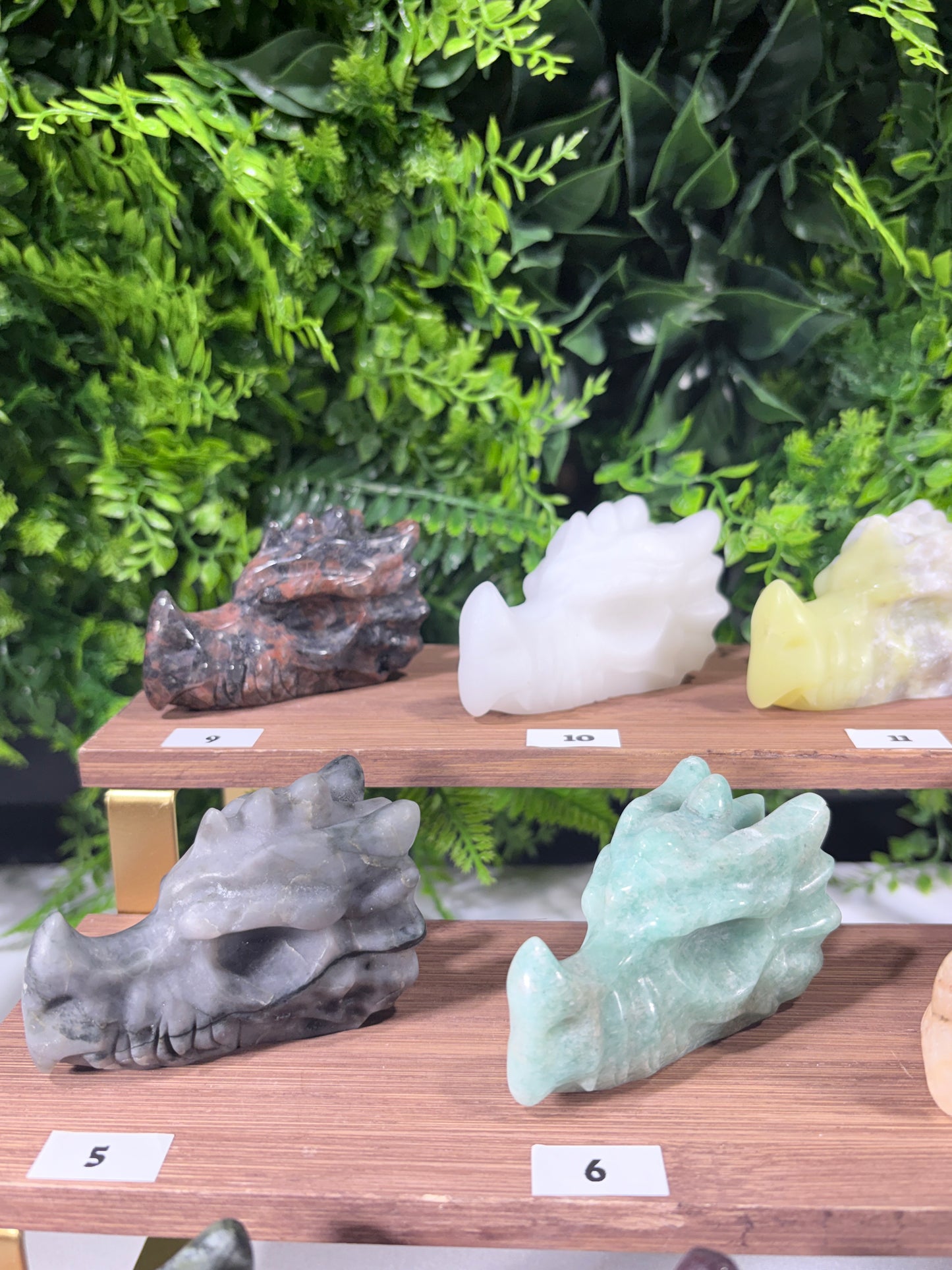 Crystal Dragon Guardians – Choose Your Dragon | Courage • Adventure • Legendary Vibes