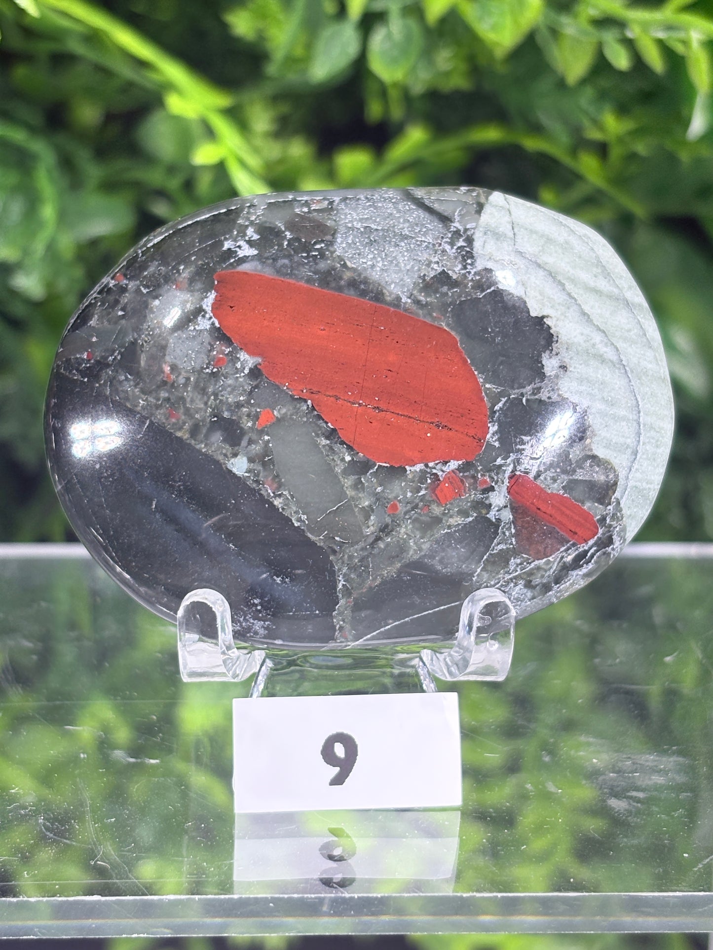 A polished african bloodstone stone or glass-like oval object with prominent red inclusions, displayed on a clear stand with a small white tag marked '6' against a blurred green outdoor background.
