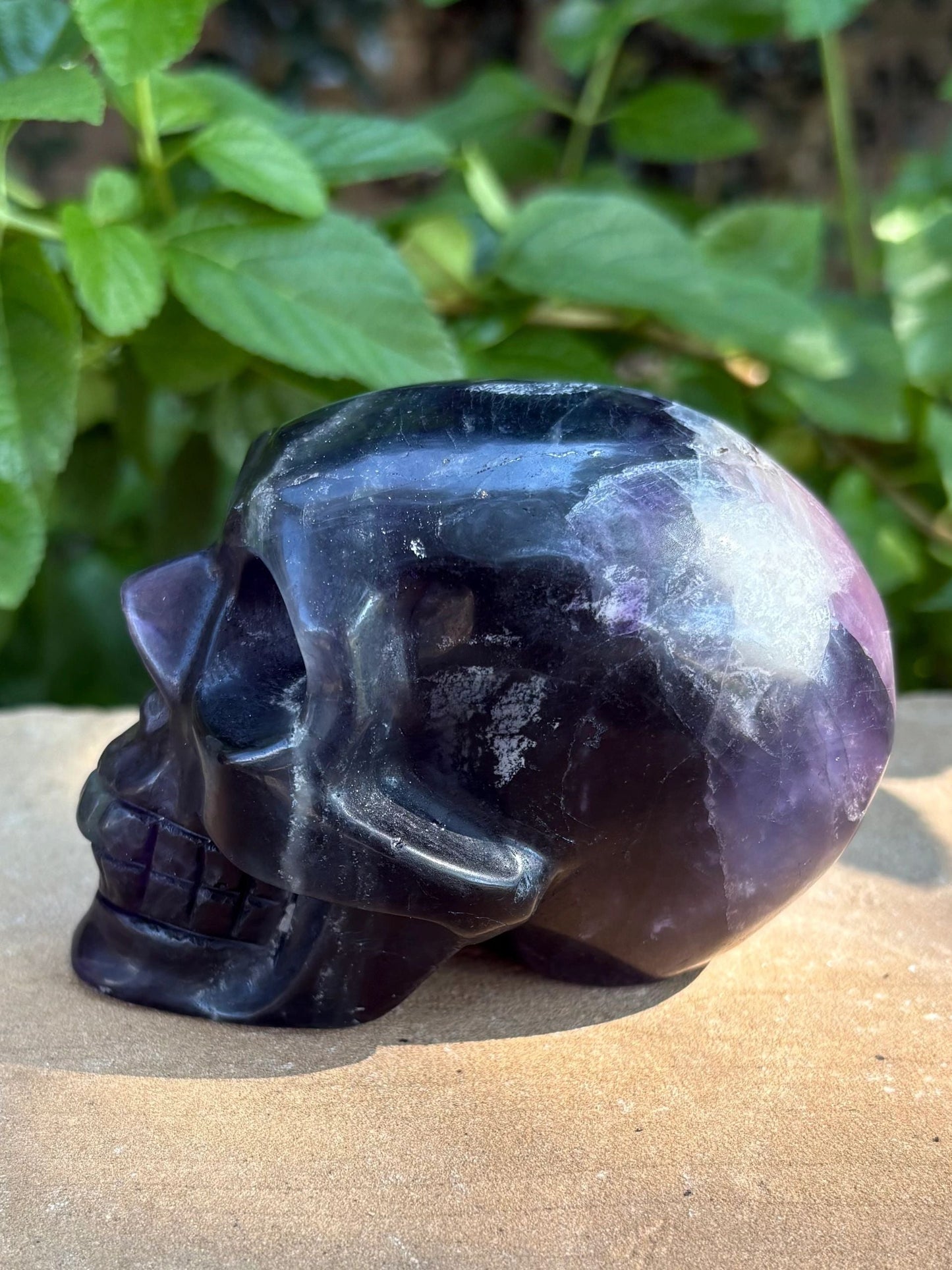 Ultra Violet UV Carved Fluorescent Crystal Rainbow Flourite Skull | Visionary Focus | Emotional Balance & Fluorescent Magic