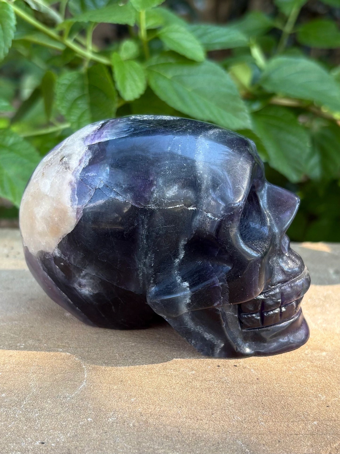 Ultra Violet UV Carved Fluorescent Crystal Rainbow Flourite Skull | Visionary Focus | Emotional Balance & Fluorescent Magic