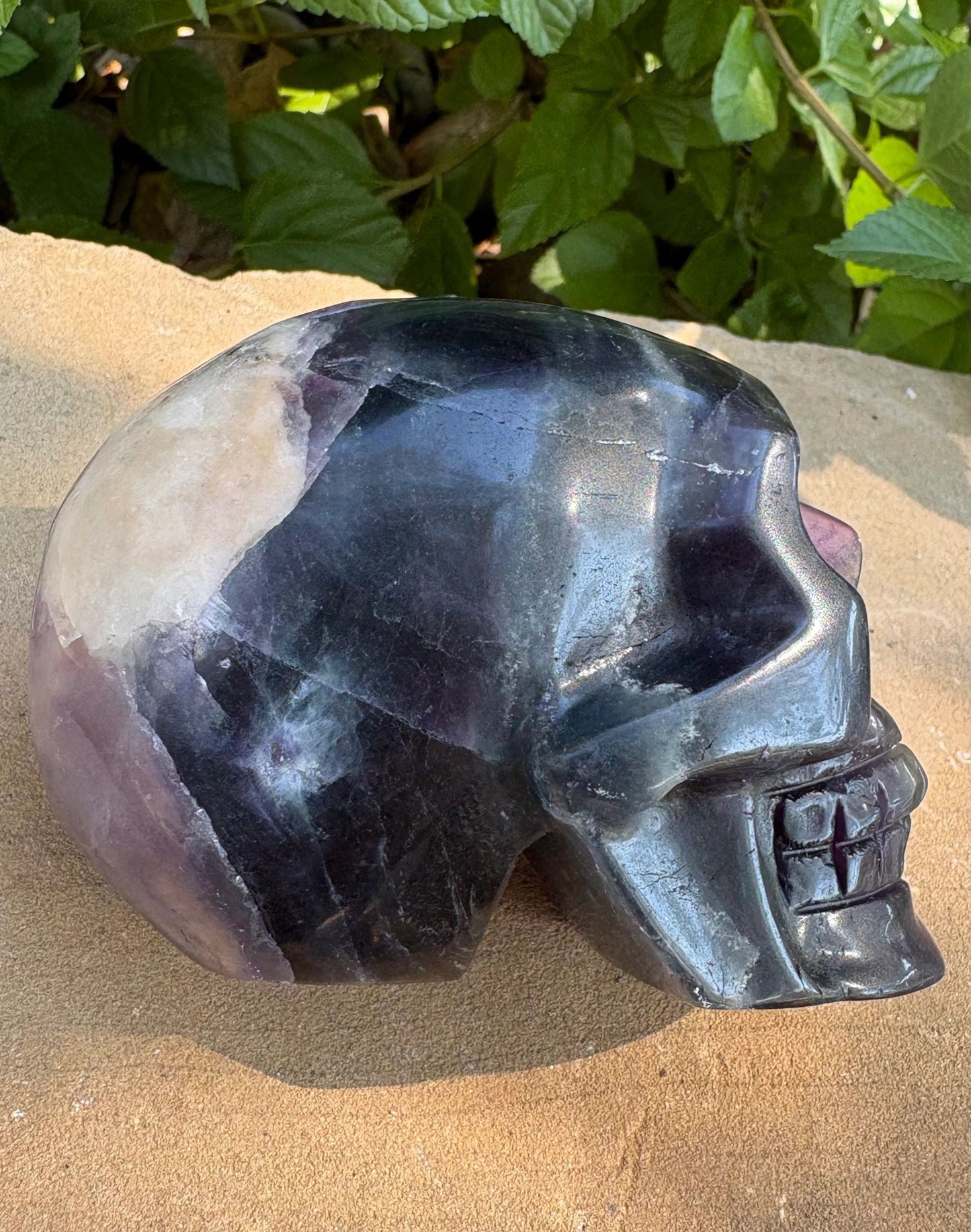 Ultra Violet UV Carved Fluorescent Crystal Rainbow Flourite Skull | Visionary Focus | Emotional Balance & Fluorescent Magic