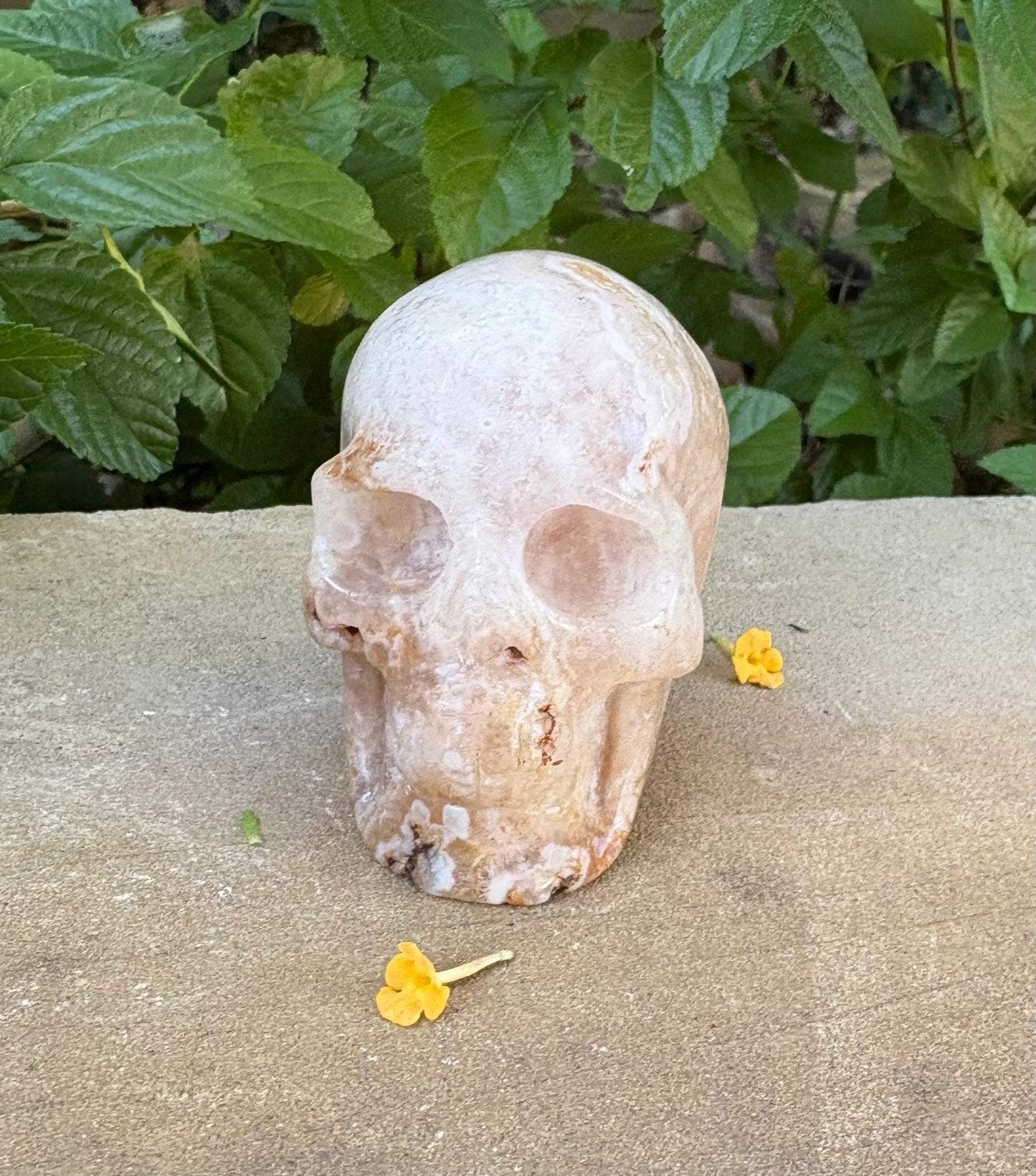 🌸 Translucent Agate Skull with Flower Agate Markings – Growth, Balance & Crystal Sparkle | 11.84 oz