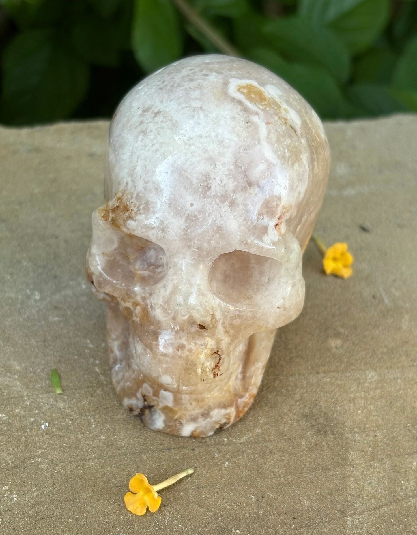 🌸 Translucent Agate Skull with Flower Agate Markings – Growth, Balance & Crystal Sparkle | 11.84 oz