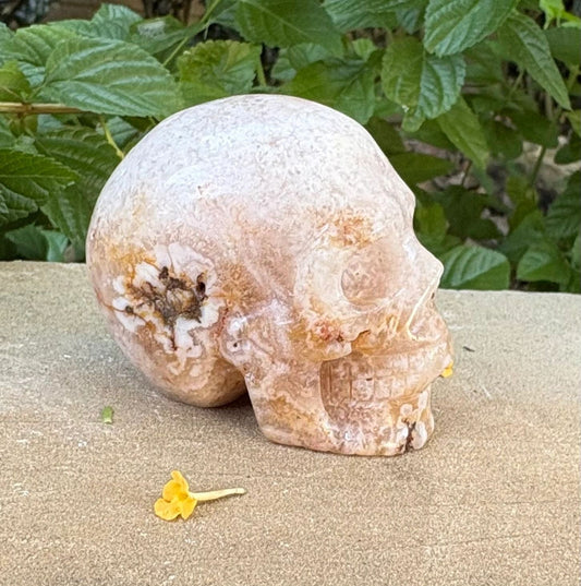🌸 Translucent Agate Skull with Flower Agate Markings – Growth, Balance & Crystal Sparkle | 11.84 oz