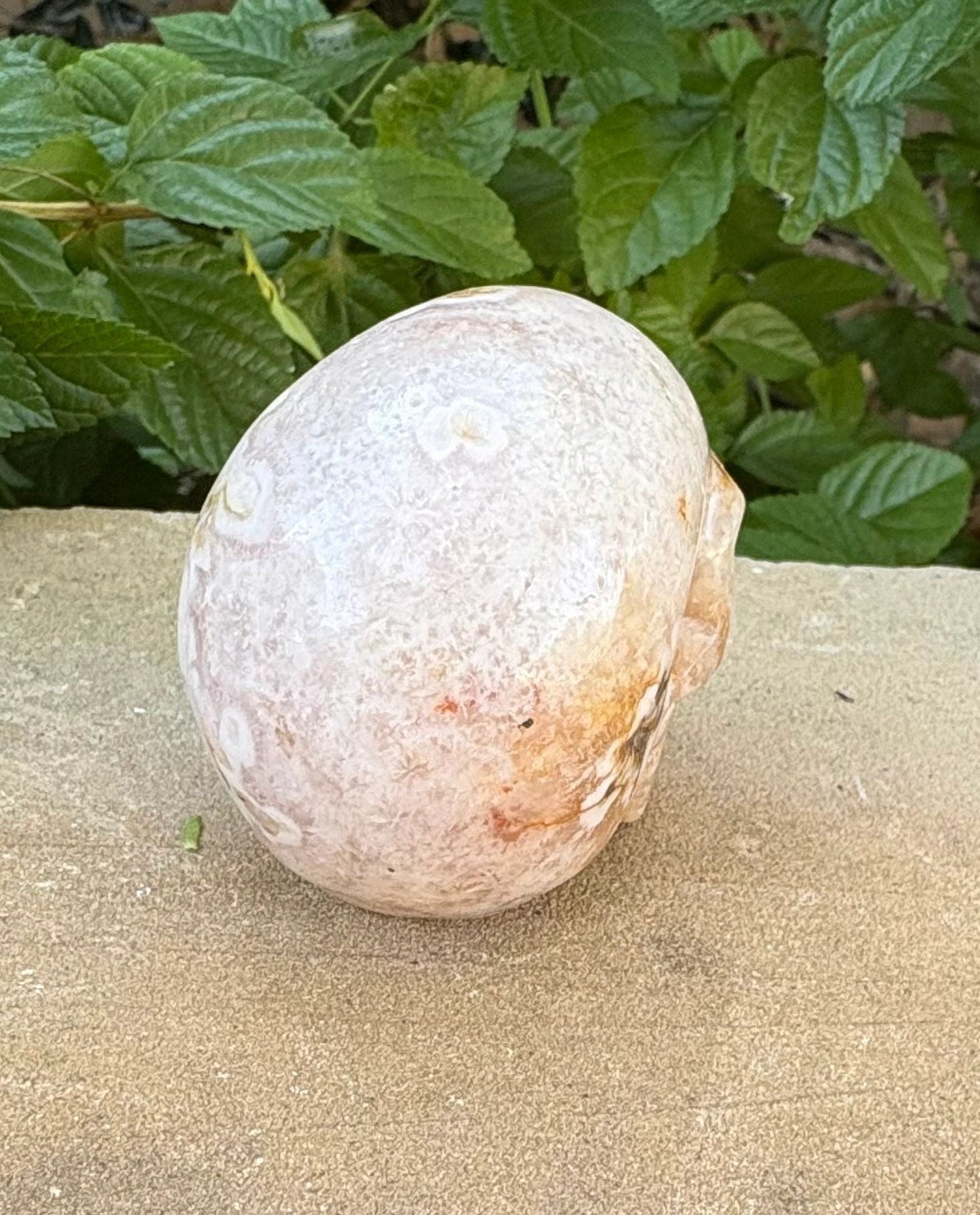 🌸 Translucent Agate Skull with Flower Agate Markings – Growth, Balance & Crystal Sparkle | 11.84 oz