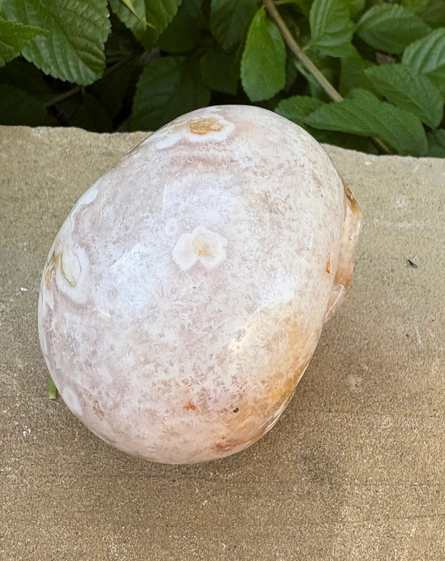 🌸 Translucent Agate Skull with Flower Agate Markings – Growth, Balance & Crystal Sparkle | 11.84 oz