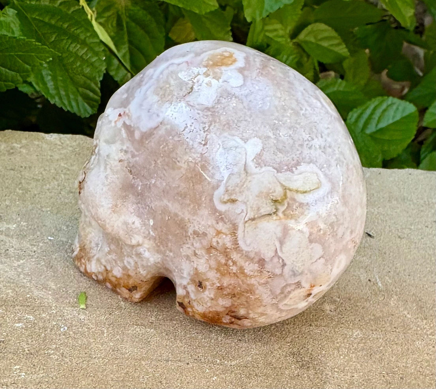 🌸 Translucent Agate Skull with Flower Agate Markings – Growth, Balance & Crystal Sparkle | 11.84 oz