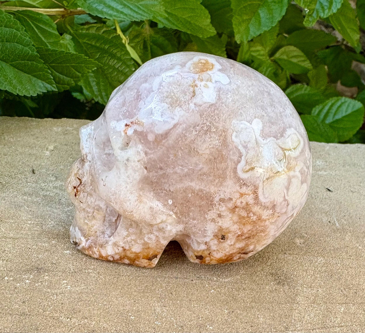🌸 Translucent Agate Skull with Flower Agate Markings – Growth, Balance & Crystal Sparkle | 11.84 oz