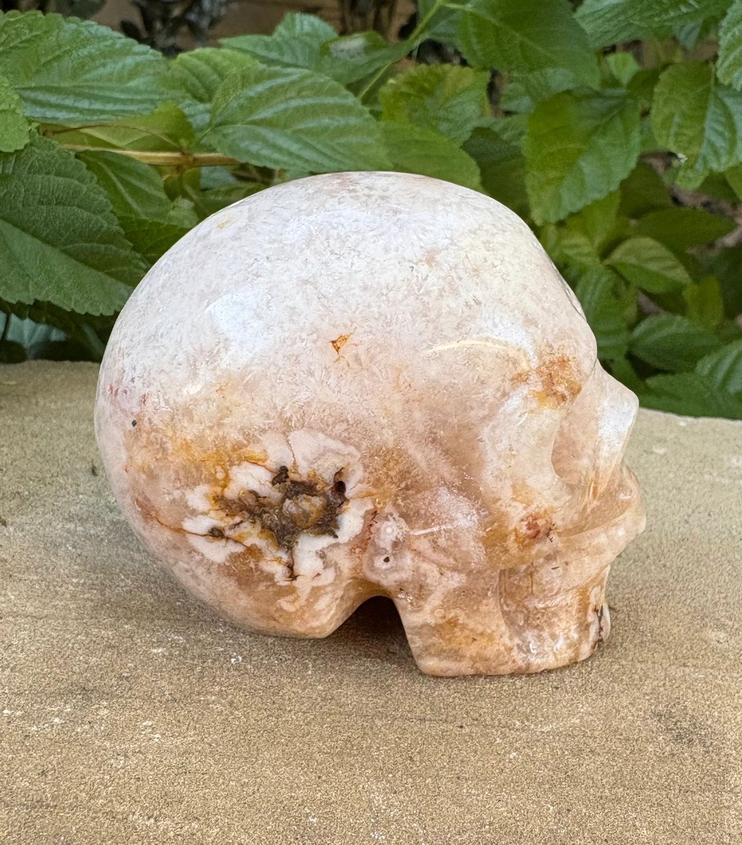 🌸 Translucent Agate Skull with Flower Agate Markings – Growth, Balance & Crystal Sparkle | 11.84 oz