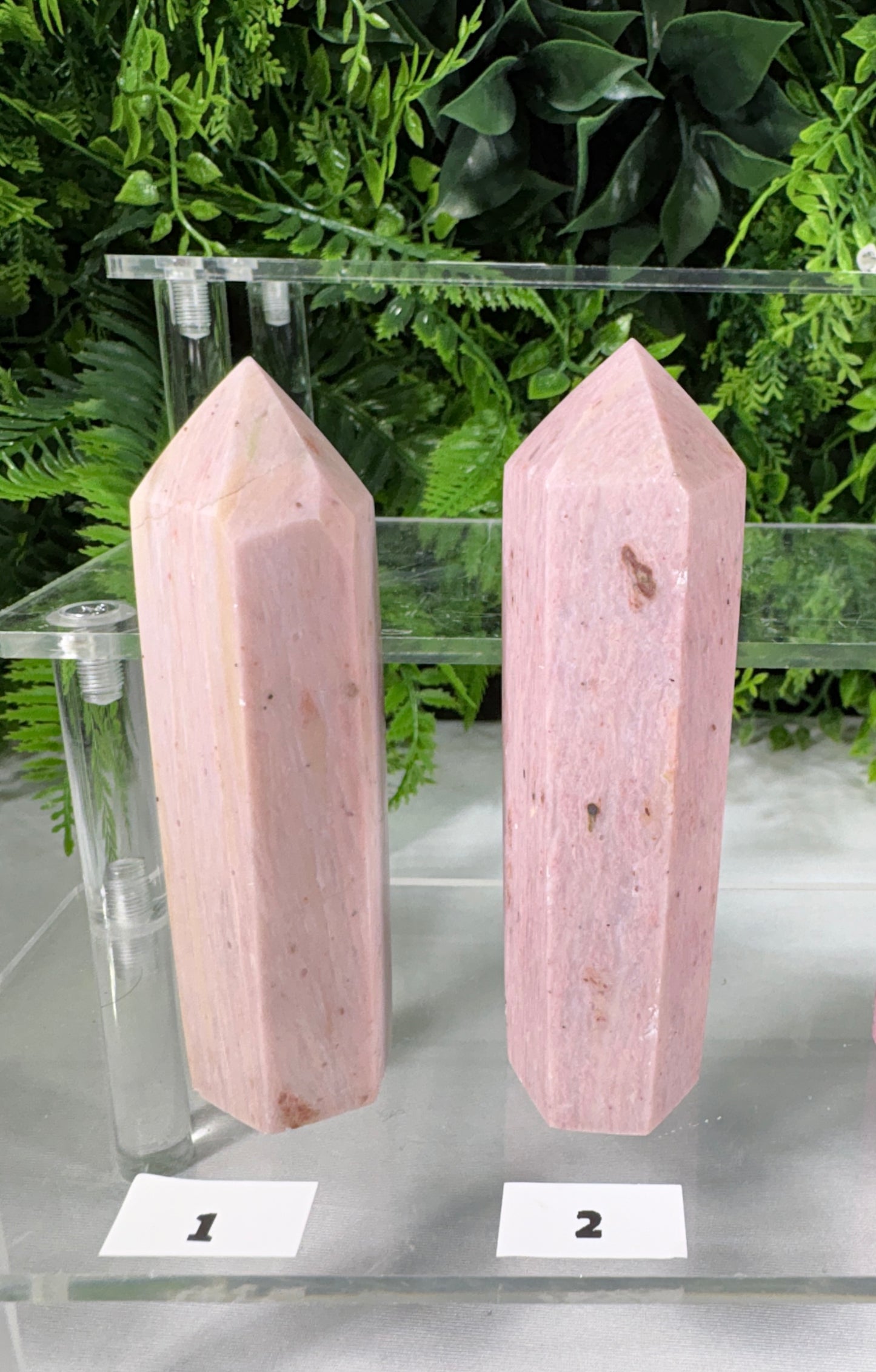 Pink Petrified Wood Points | Natural Fossil Wood Crystals- Ancient Wisdom • Gentle Growth • Steady Grounding