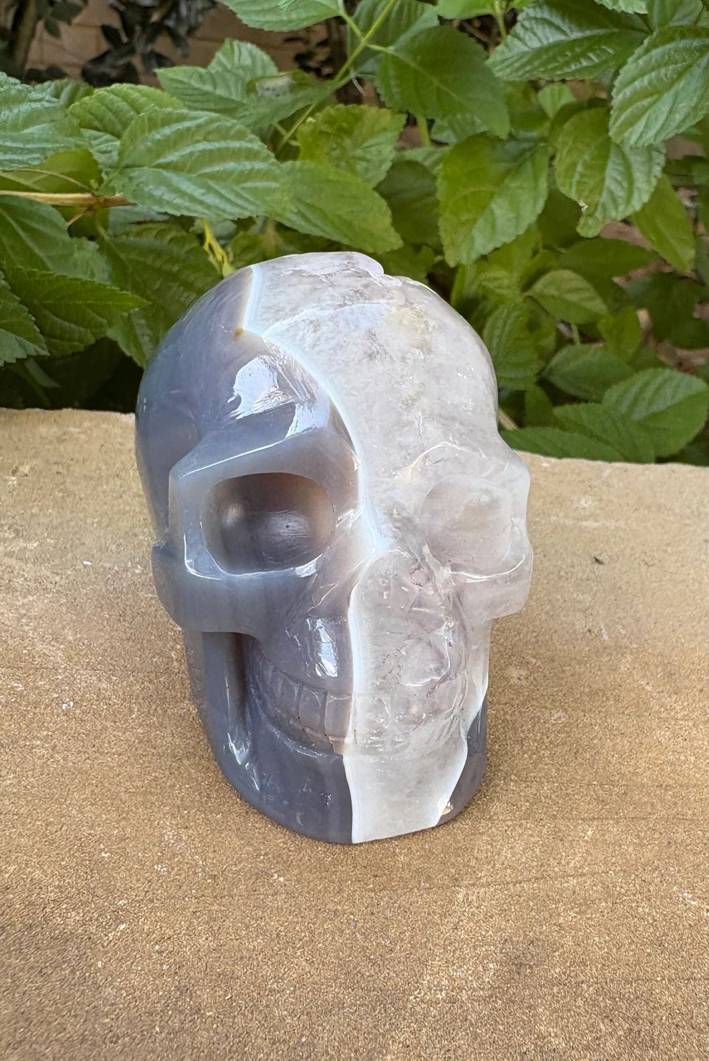 ⚡ Duality Crystal Skull – Grey Agate & Quartz with Cavern Crown + Amethyst Streak | 15.36 oz.