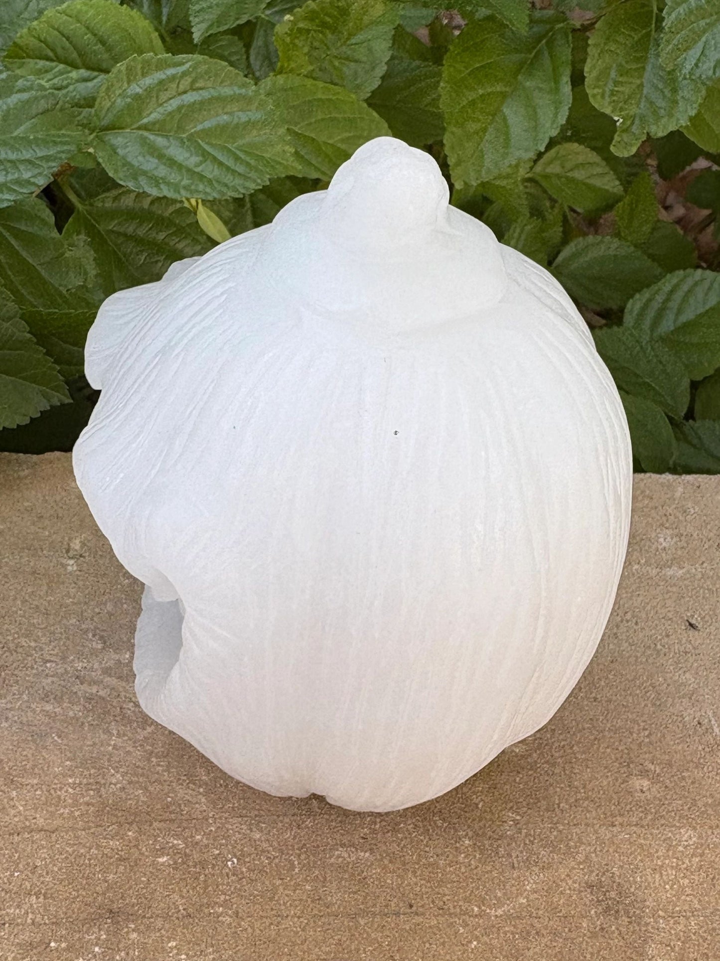 🎃 White Jade Jack-o’-Lantern – Purity, Protection & Calm | Chubby Carved Pumpkin Head Crystal Peace | Clarity | Strength