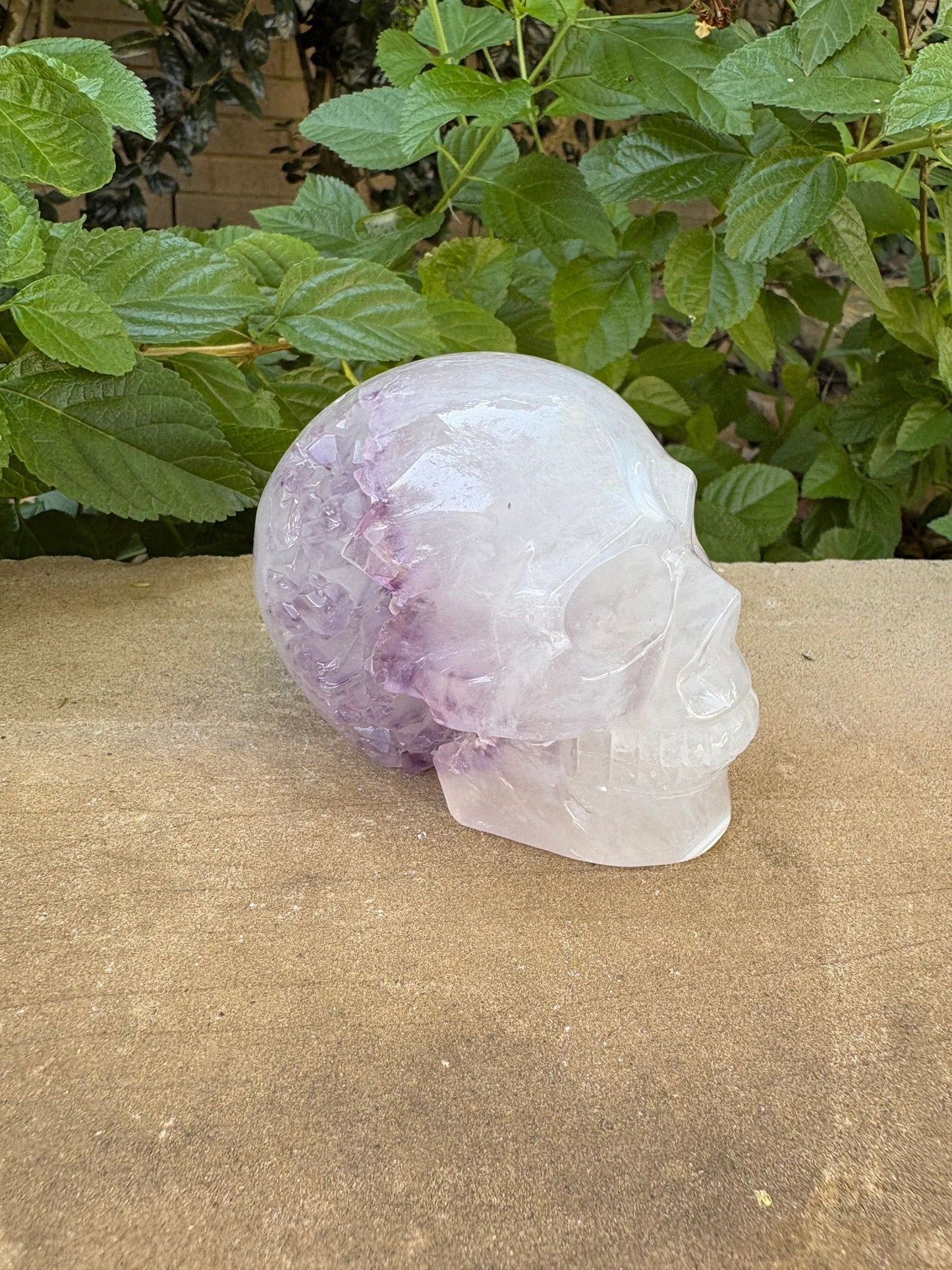 💜 Amethyst Agate Skull with Sparkling Druzy & Grey Agate Marking – Clarity, Wisdom & Glow | 1.25 lbs.
