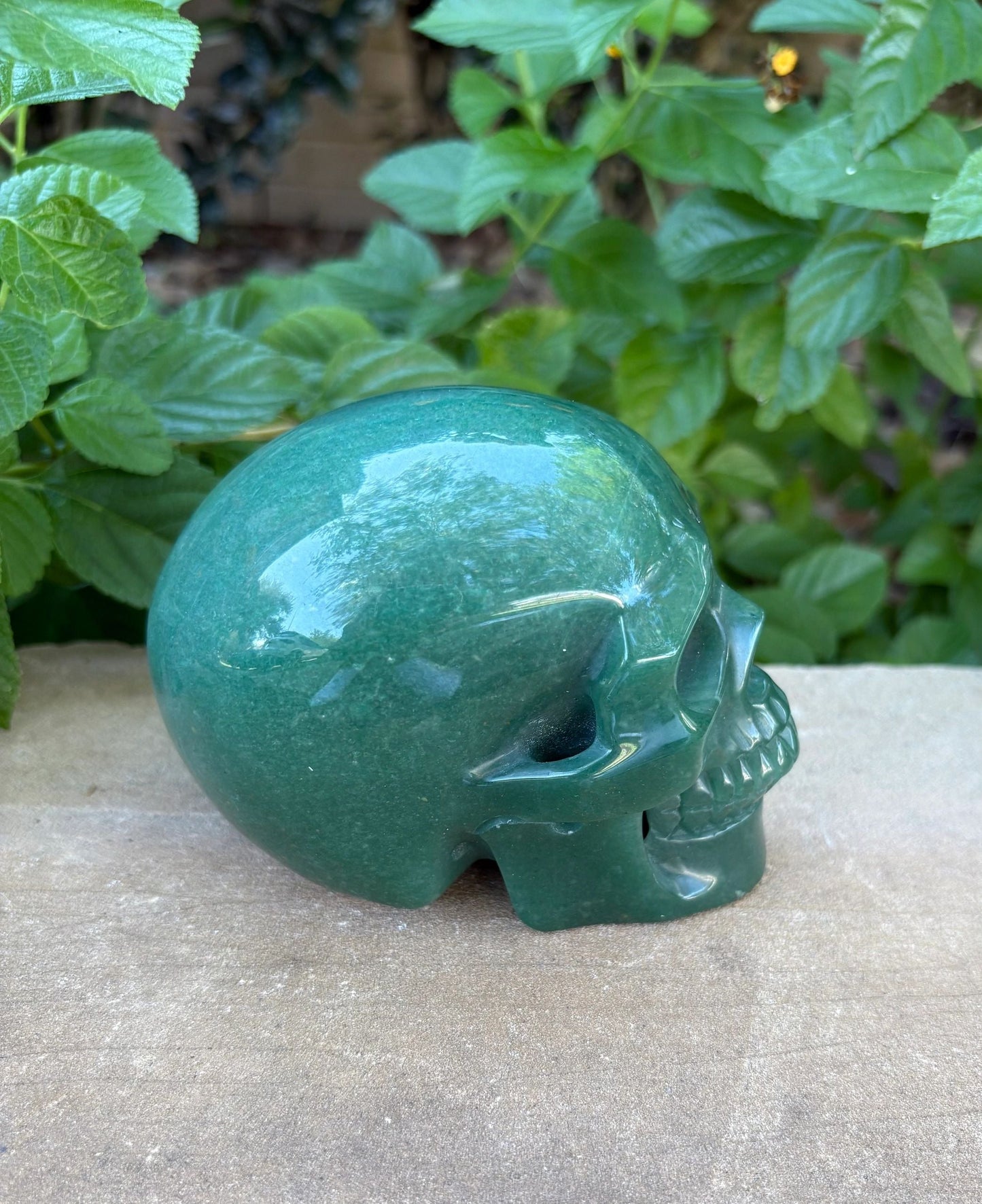 🌿 Green Aventurine Skull with Hollow Jaw – Prosperity, Courage & Glow-Up Energy | 2.32 lbs Luck | Healing | Earth Swagger
