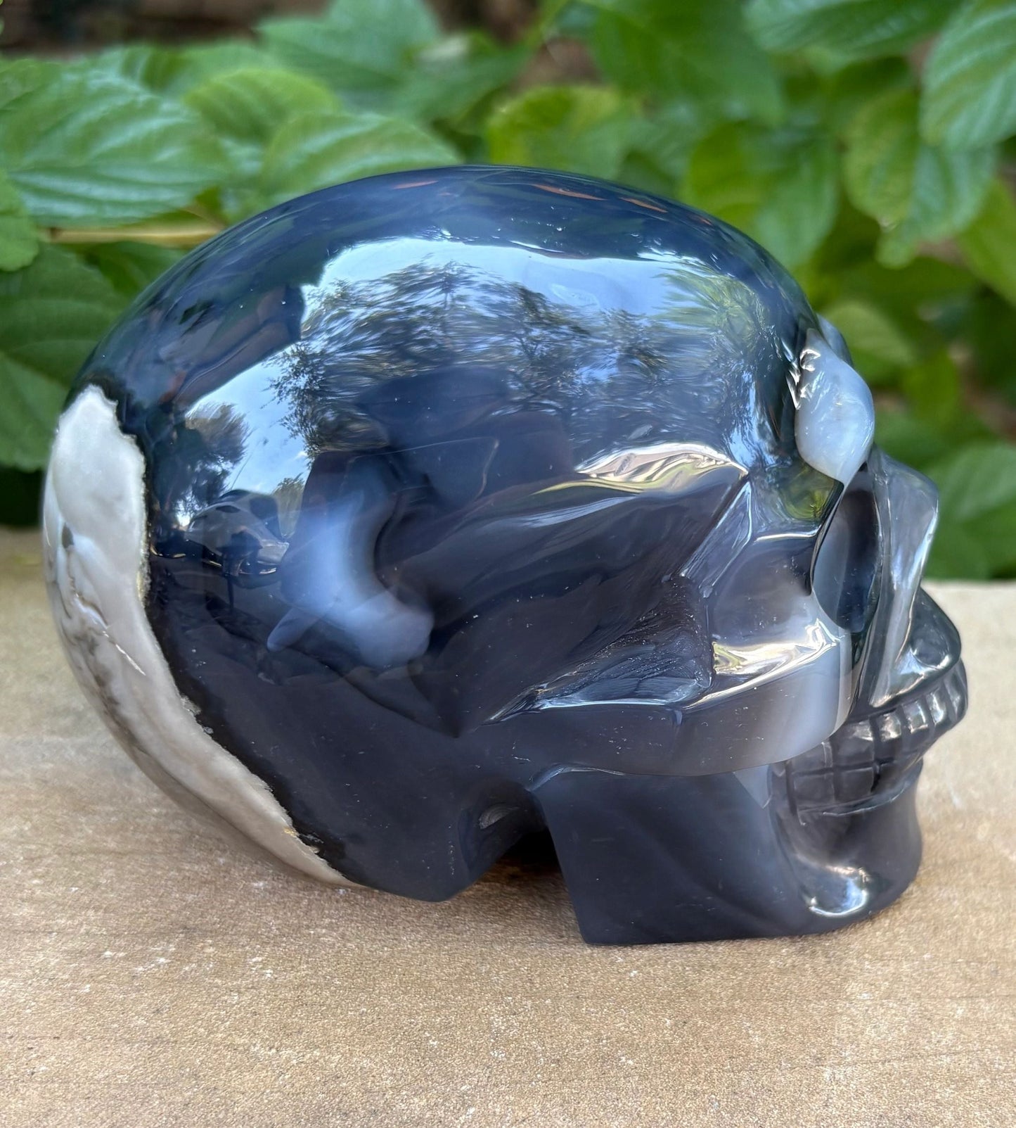 🌋 Volcano Agate Fluorescent Carved Crystal Skull – Transformation, Protection & Fiery Energy