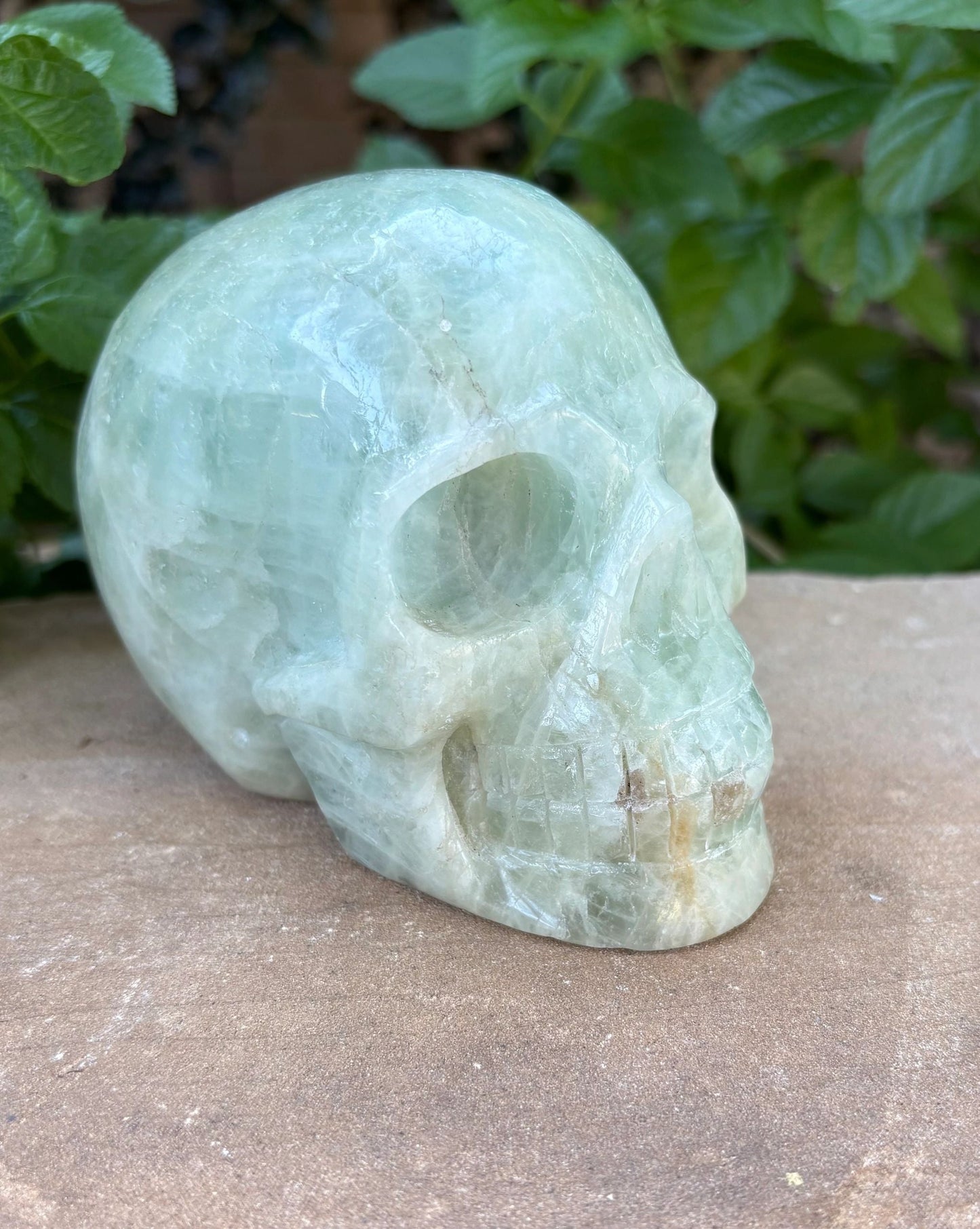 🌊2.9 lbs. Aquamarine Crystal Skull – Serenity, Strength &  Clarity