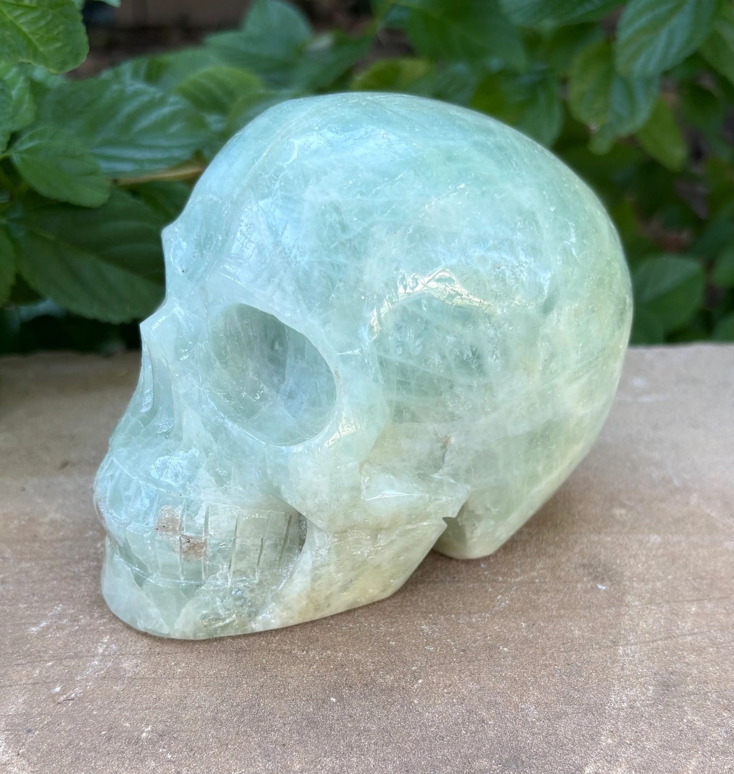 🌊2.9 lbs. Aquamarine Crystal Skull – Serenity, Strength &  Clarity