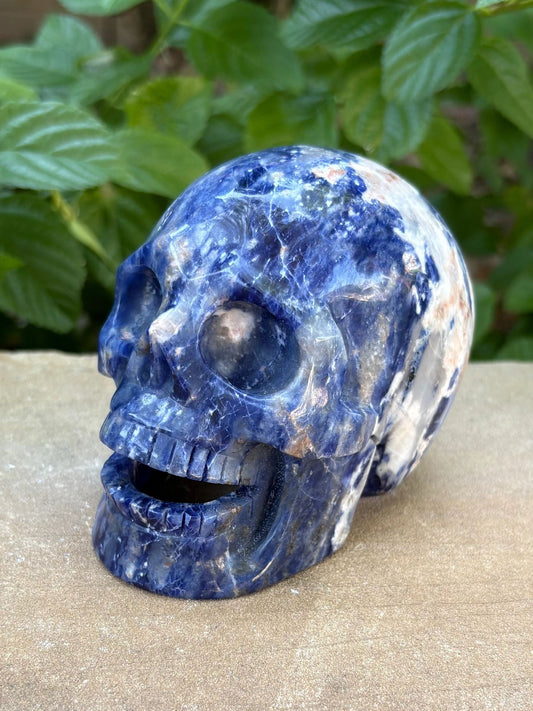 💙 Sodalite Crystal Skull – Intuition, Clarity & Balance | Hand-Carved Hallowed Out Skull Wisdom