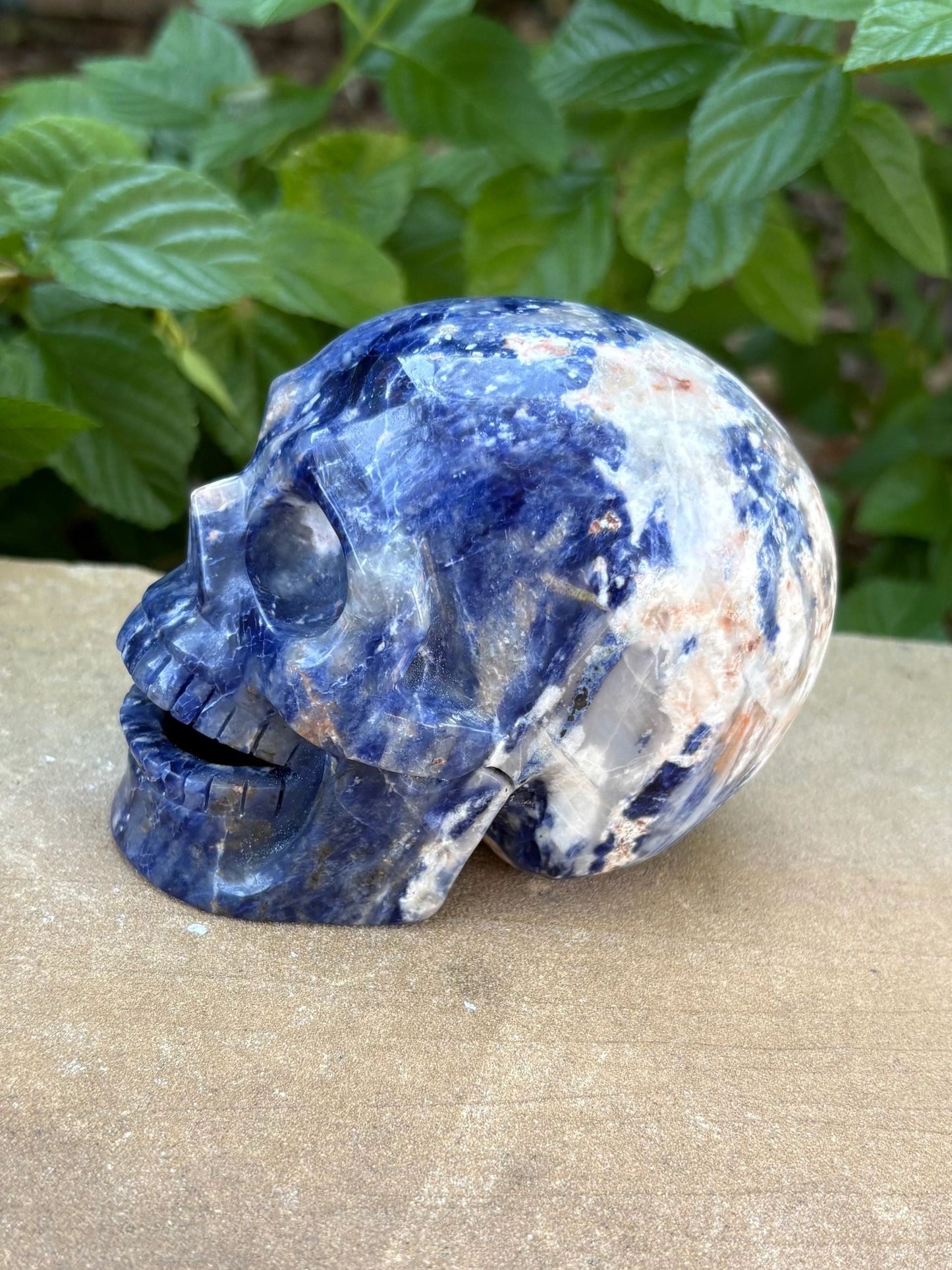 💙 Sodalite Crystal Skull – Intuition, Clarity & Balance | Hand-Carved Hallowed Out Skull Wisdom