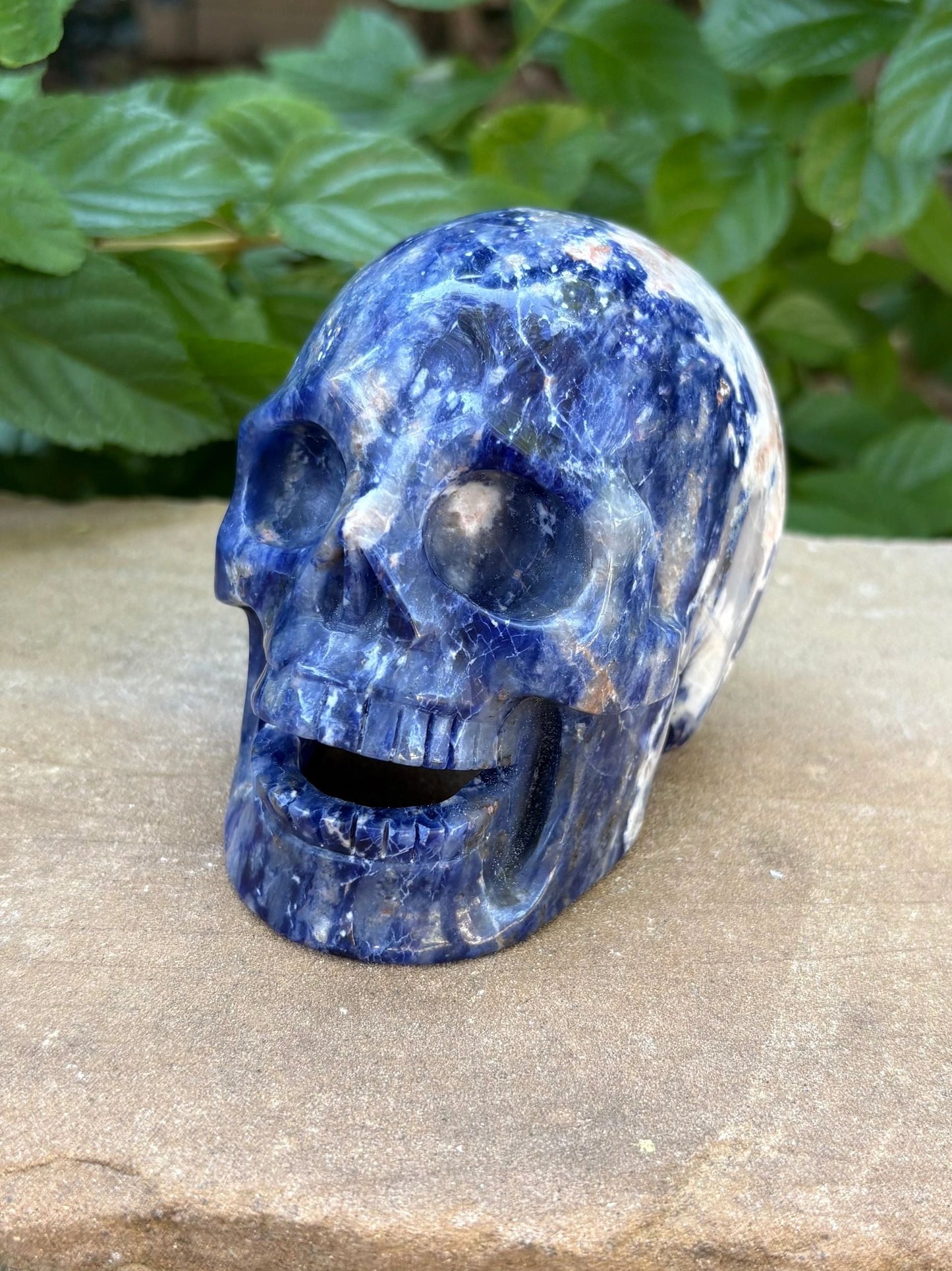 💙 Sodalite Crystal Skull – Intuition, Clarity & Balance | Hand-Carved Hallowed Out Skull Wisdom