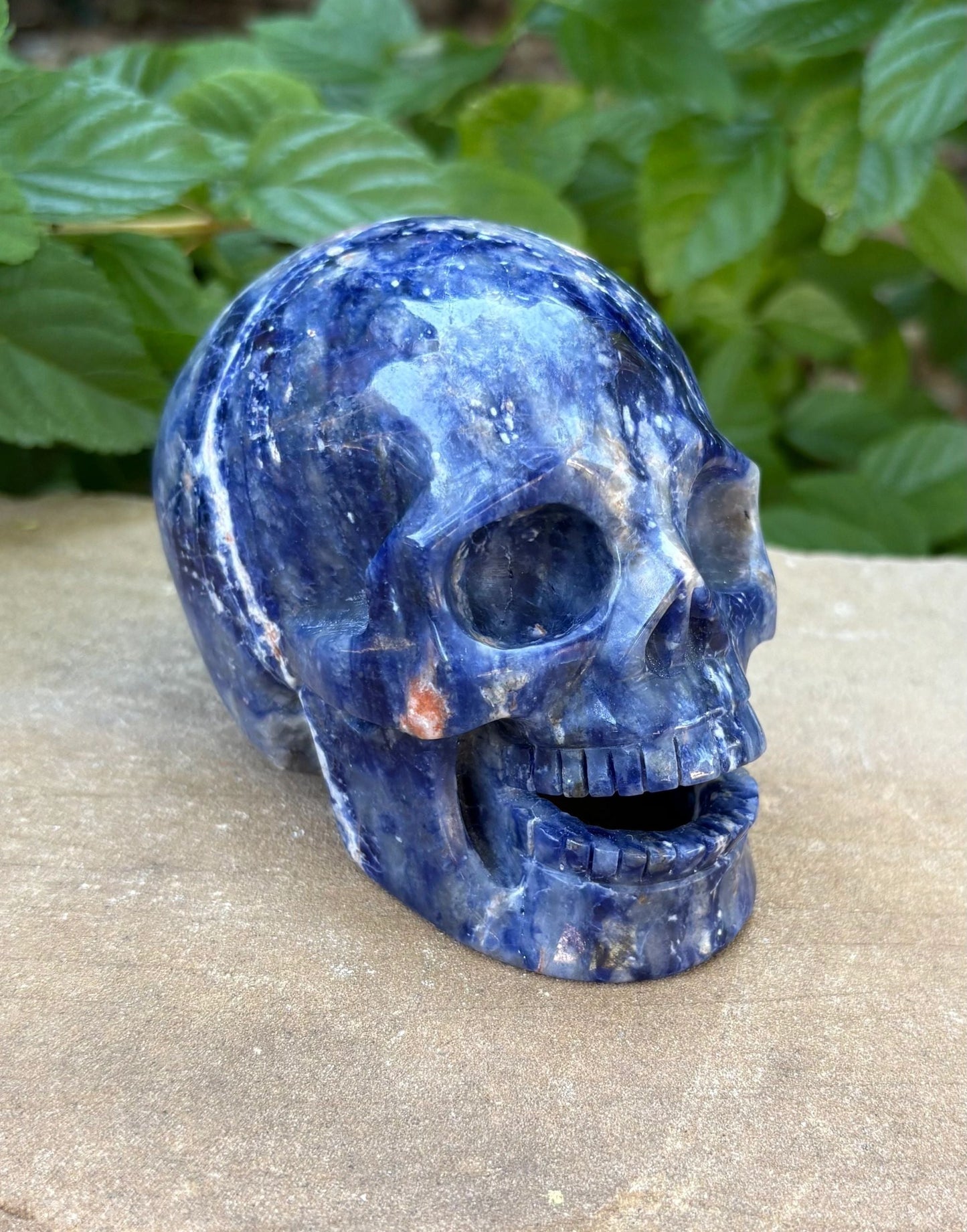 💙 Sodalite Crystal Skull – Intuition, Clarity & Balance | Hand-Carved Hallowed Out Skull Wisdom