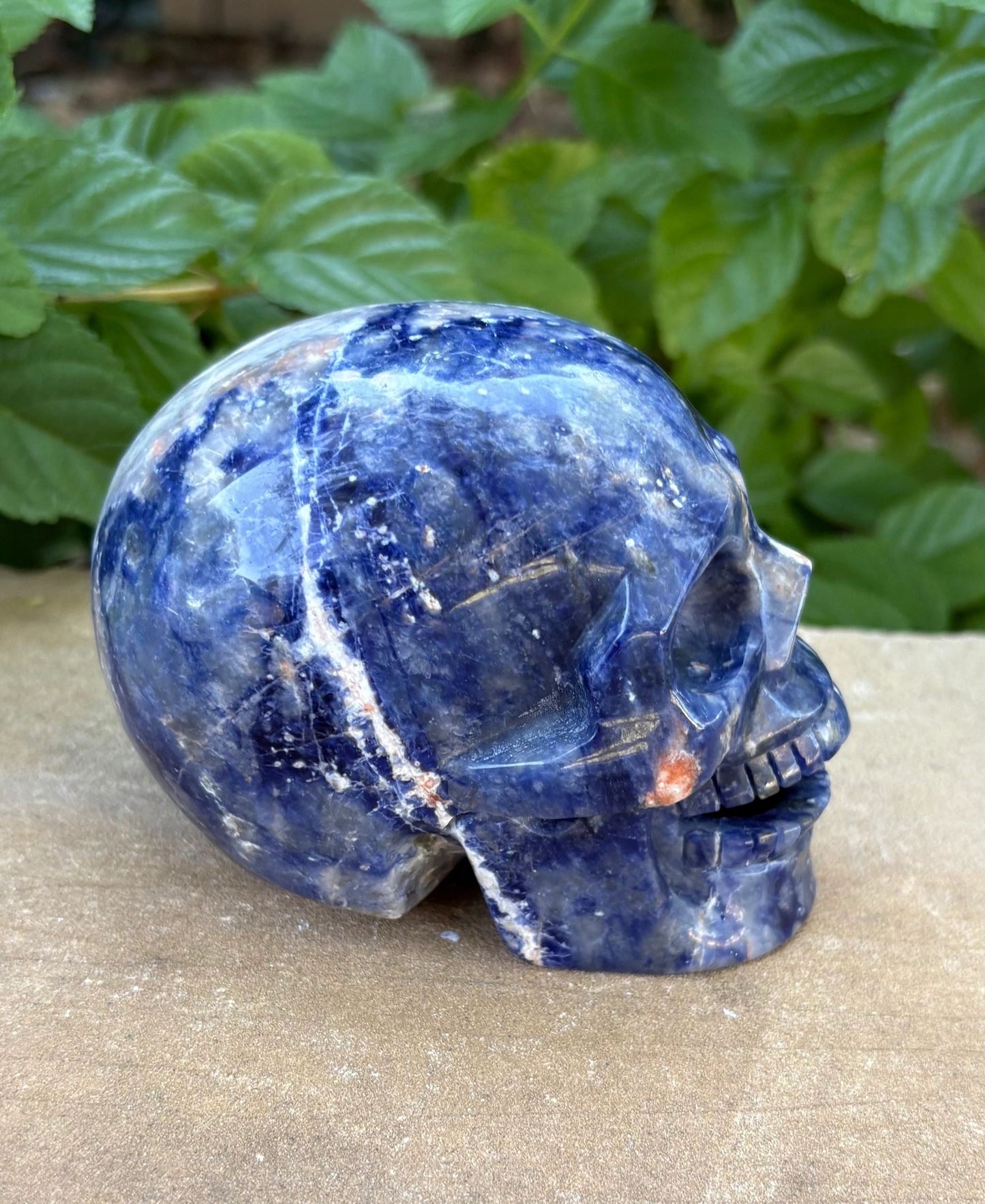 💙 Sodalite Crystal Skull – Intuition, Clarity & Balance | Hand-Carved Hallowed Out Skull Wisdom