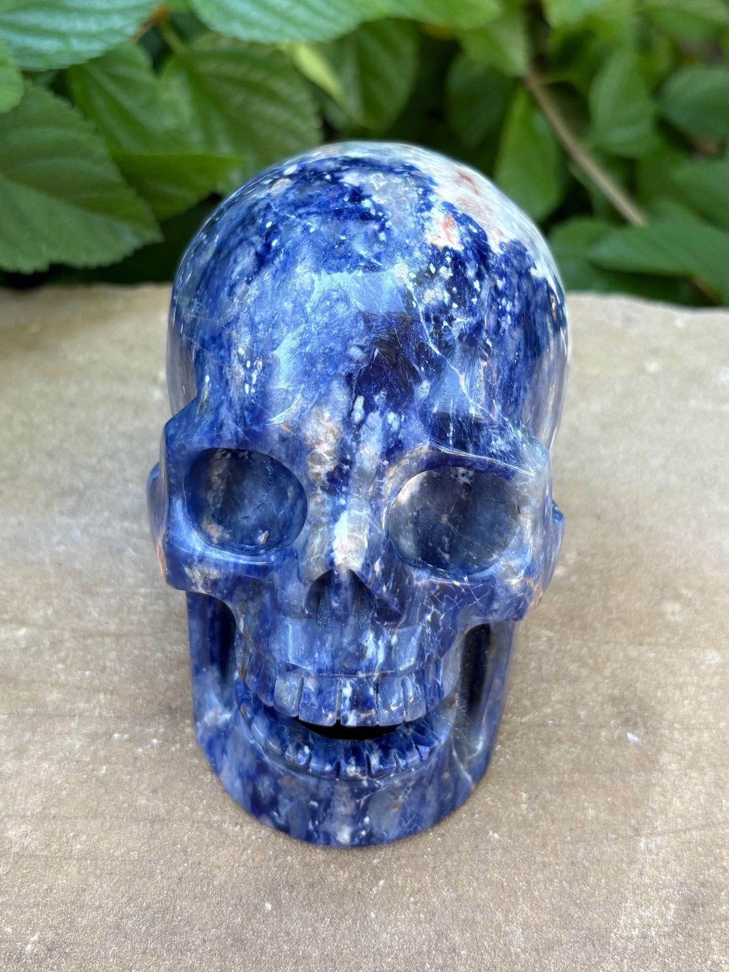 💙 Sodalite Crystal Skull – Intuition, Clarity & Balance | Hand-Carved Hallowed Out Skull Wisdom