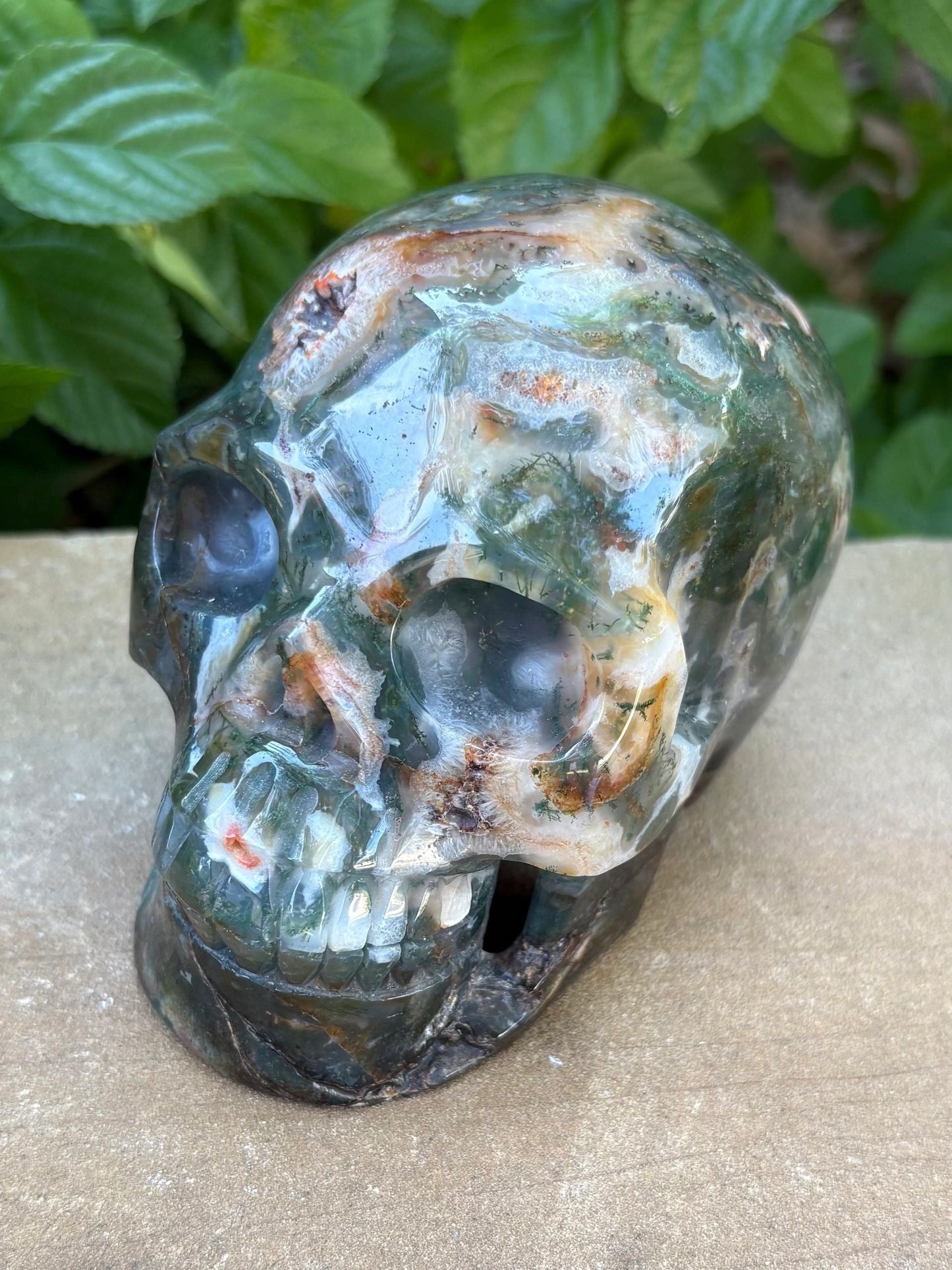 🌿2.54 lbs. Dark Green Translucent Hollowed Moss Agate Skull – Growth, Renewal & Grounding