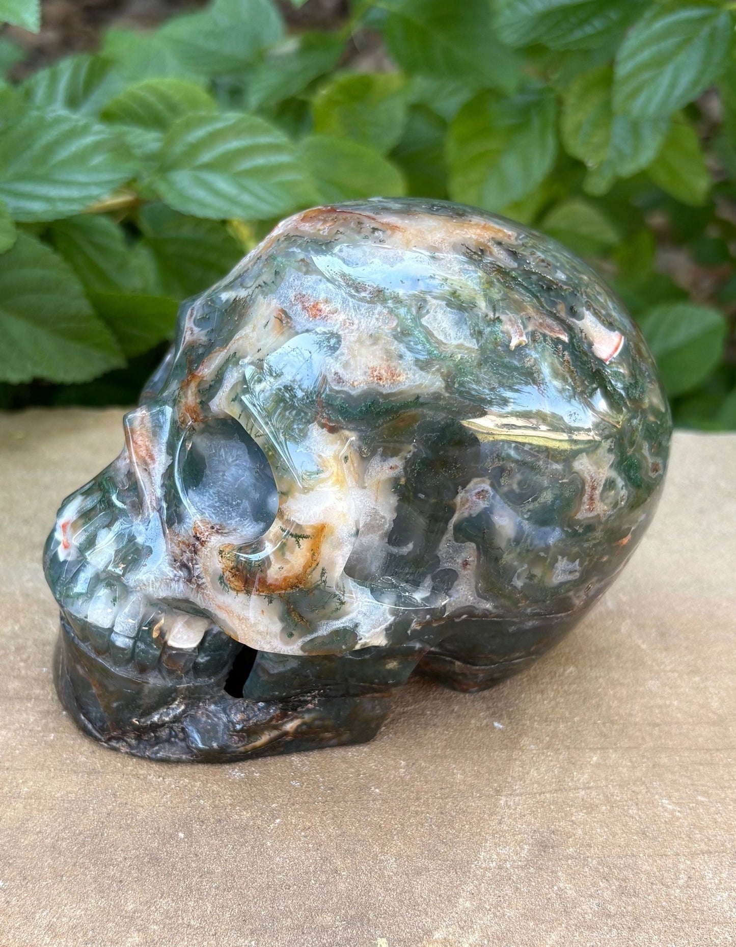 🌿2.54 lbs. Dark Green Translucent Hollowed Moss Agate Skull – Growth, Renewal & Grounding