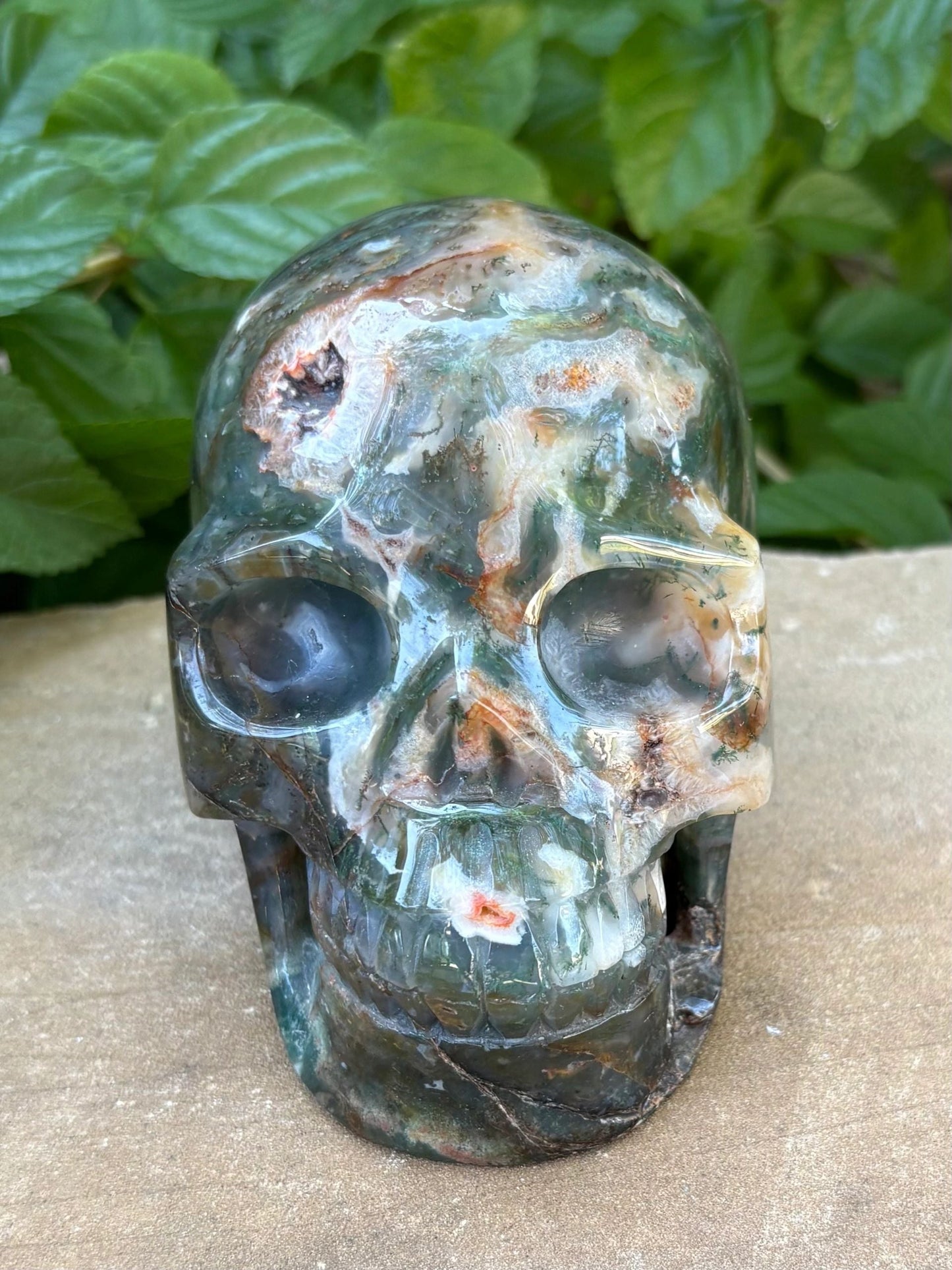 🌿2.54 lbs. Dark Green Translucent Hollowed Moss Agate Skull – Growth, Renewal & Grounding