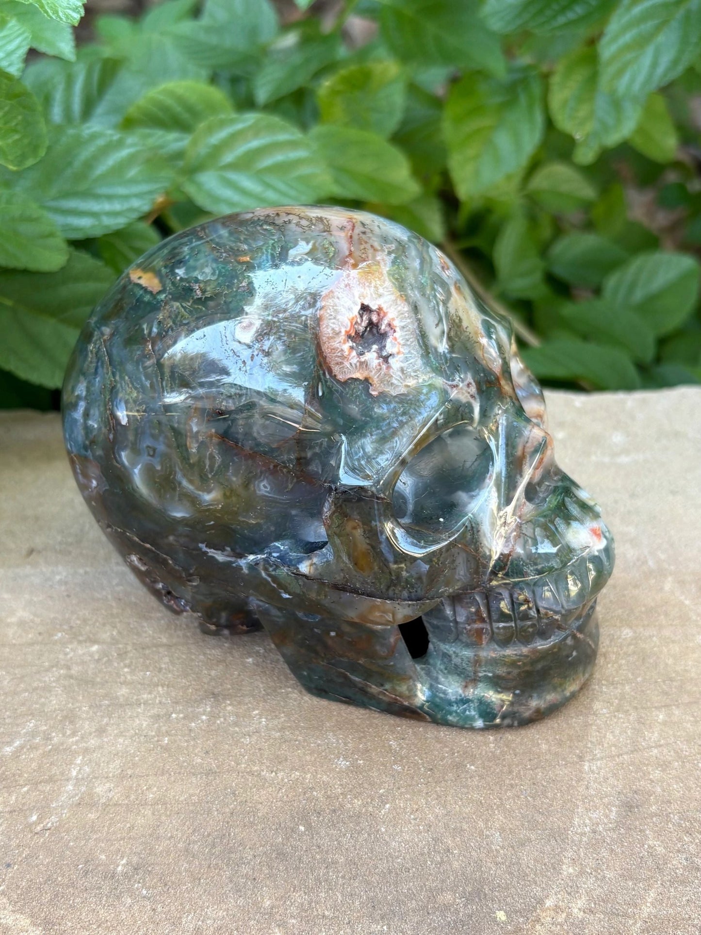 🌿2.54 lbs. Dark Green Translucent Hollowed Moss Agate Skull – Growth, Renewal & Grounding