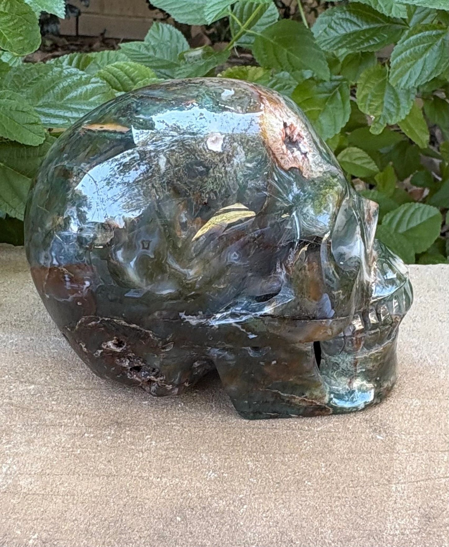 🌿2.54 lbs. Dark Green Translucent Hollowed Moss Agate Skull – Growth, Renewal & Grounding