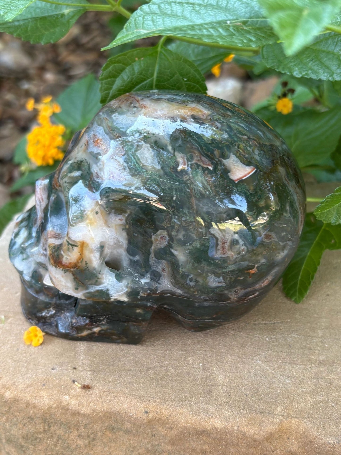 🌿2.54 lbs. Dark Green Translucent Hollowed Moss Agate Skull – Growth, Renewal & Grounding
