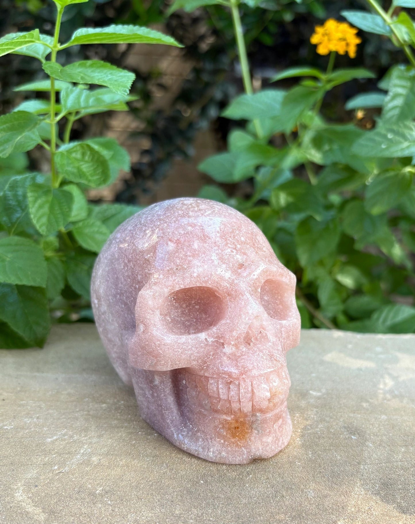 💜 Sparkling Amethyst Skull – Intuition, Protection & Cosmic Calm | Smooth Polished Crystal Skull