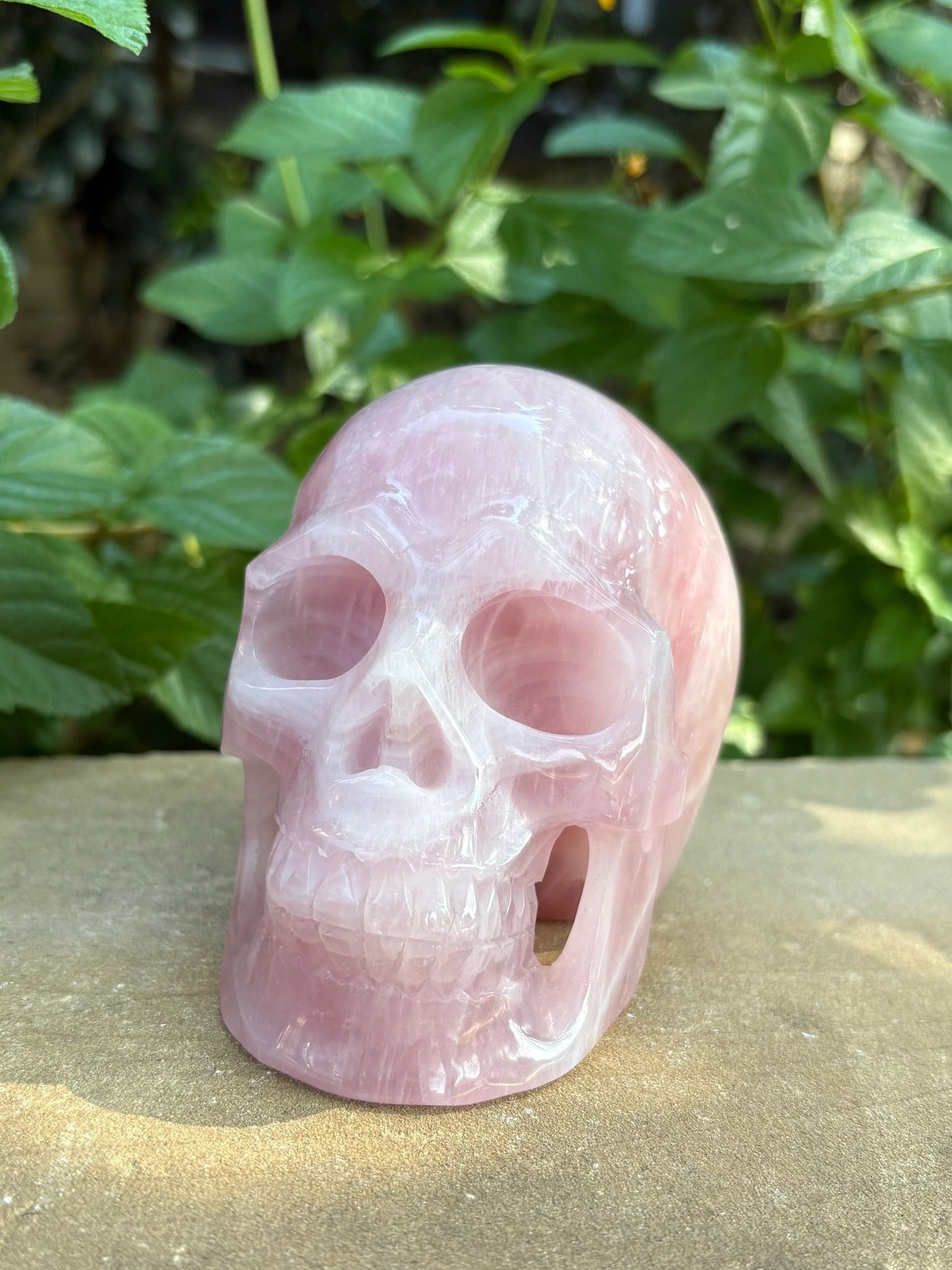 💗 Madagascar Rose Quartz Hollowed  Skull – Smooth Glow, Heart Power & Love | 2.10 lbs.
