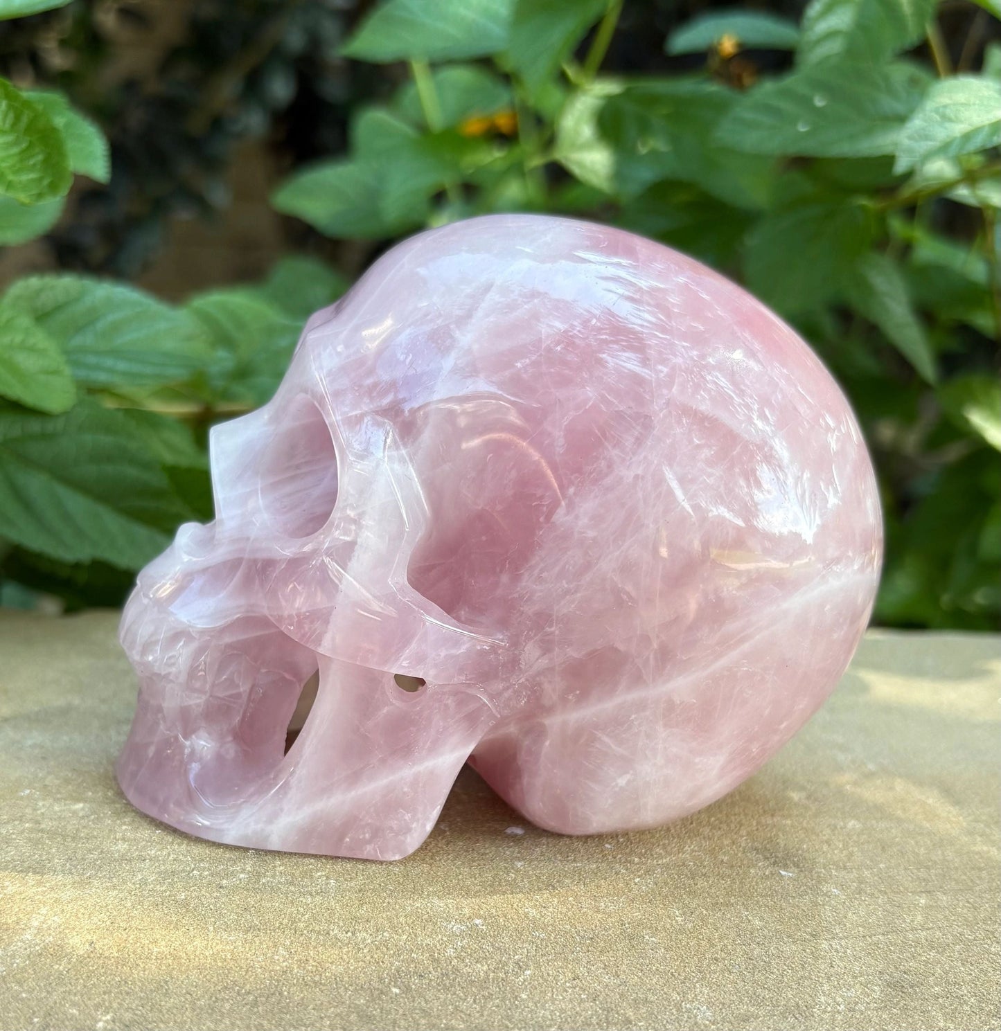 💗 Madagascar Rose Quartz Hollowed  Skull – Smooth Glow, Heart Power & Love | 2.10 lbs.