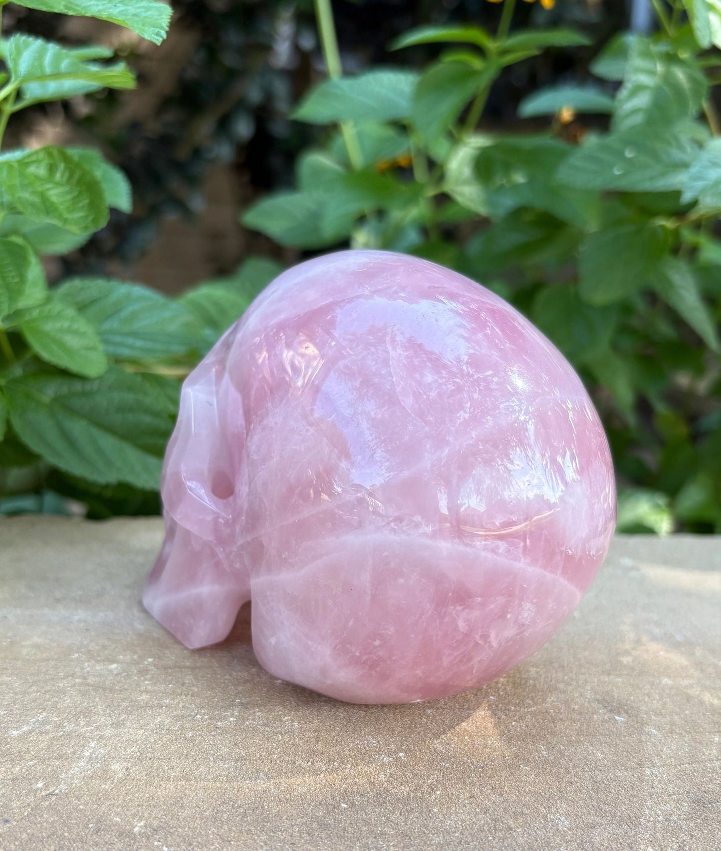 💗 Madagascar Rose Quartz Hollowed  Skull – Smooth Glow, Heart Power & Love | 2.10 lbs.