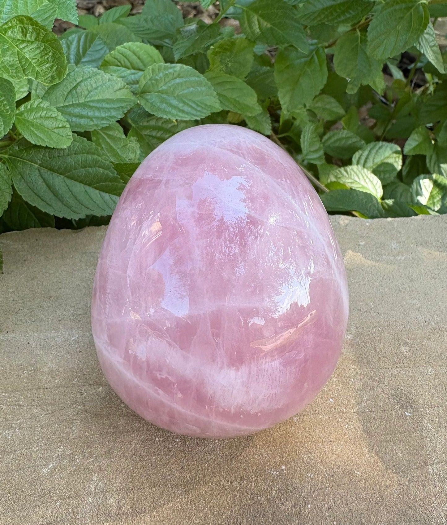 💗 Madagascar Rose Quartz Hollowed  Skull – Smooth Glow, Heart Power & Love | 2.10 lbs.