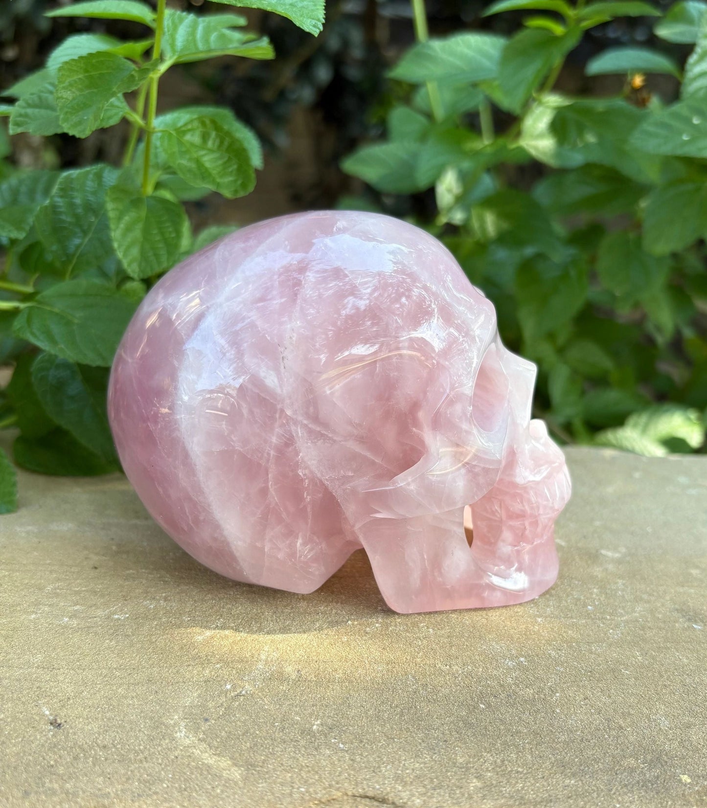 💗 Madagascar Rose Quartz Hollowed  Skull – Smooth Glow, Heart Power & Love | 2.10 lbs.