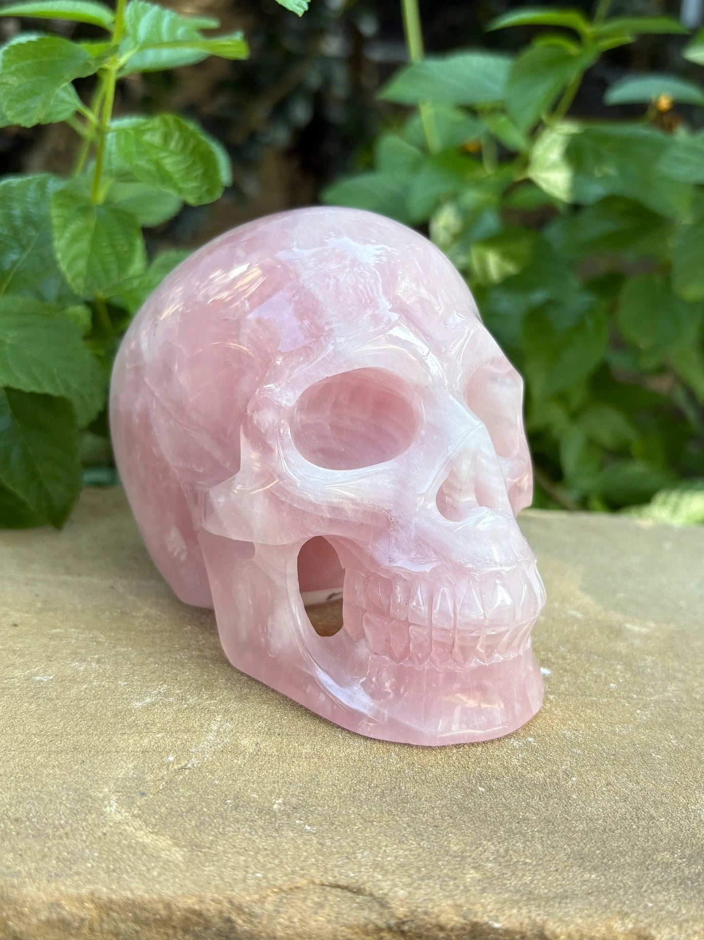 💗 Madagascar Rose Quartz Hollowed  Skull – Smooth Glow, Heart Power & Love | 2.10 lbs.