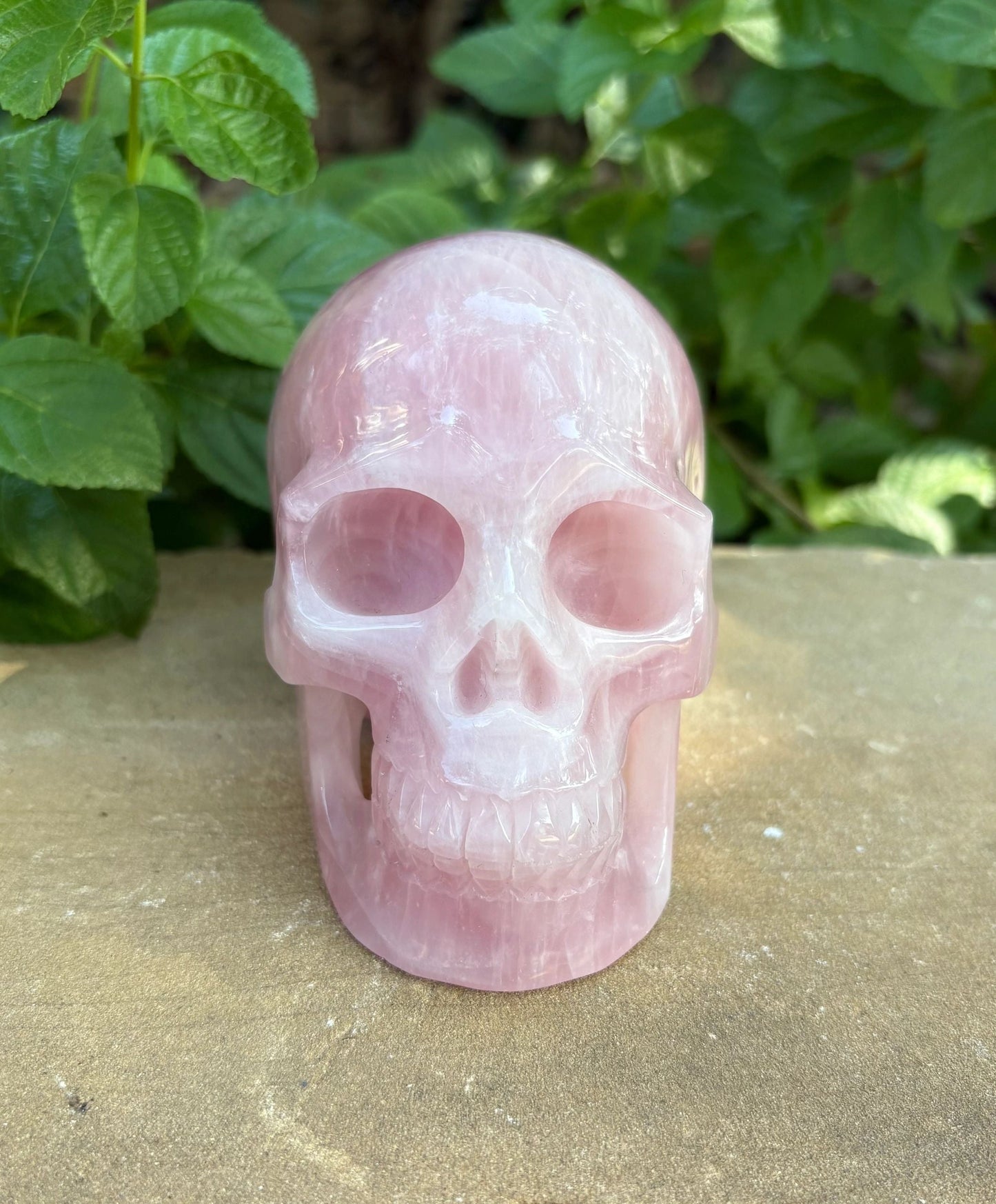 💗 Madagascar Rose Quartz Hollowed  Skull – Smooth Glow, Heart Power & Love | 2.10 lbs.